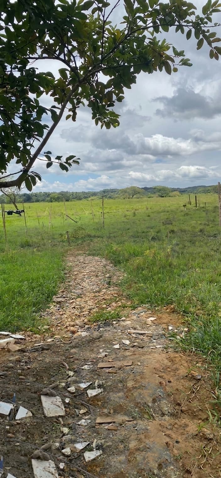FINCA en Gestion - TARAZÁ, ANTIOQUIA - 6