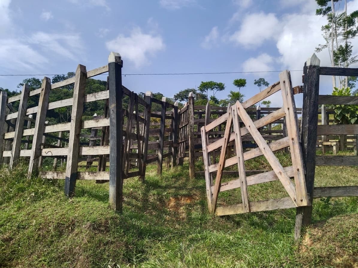 FINCA en Gestion - TARAZÁ, ANTIOQUIA - 7