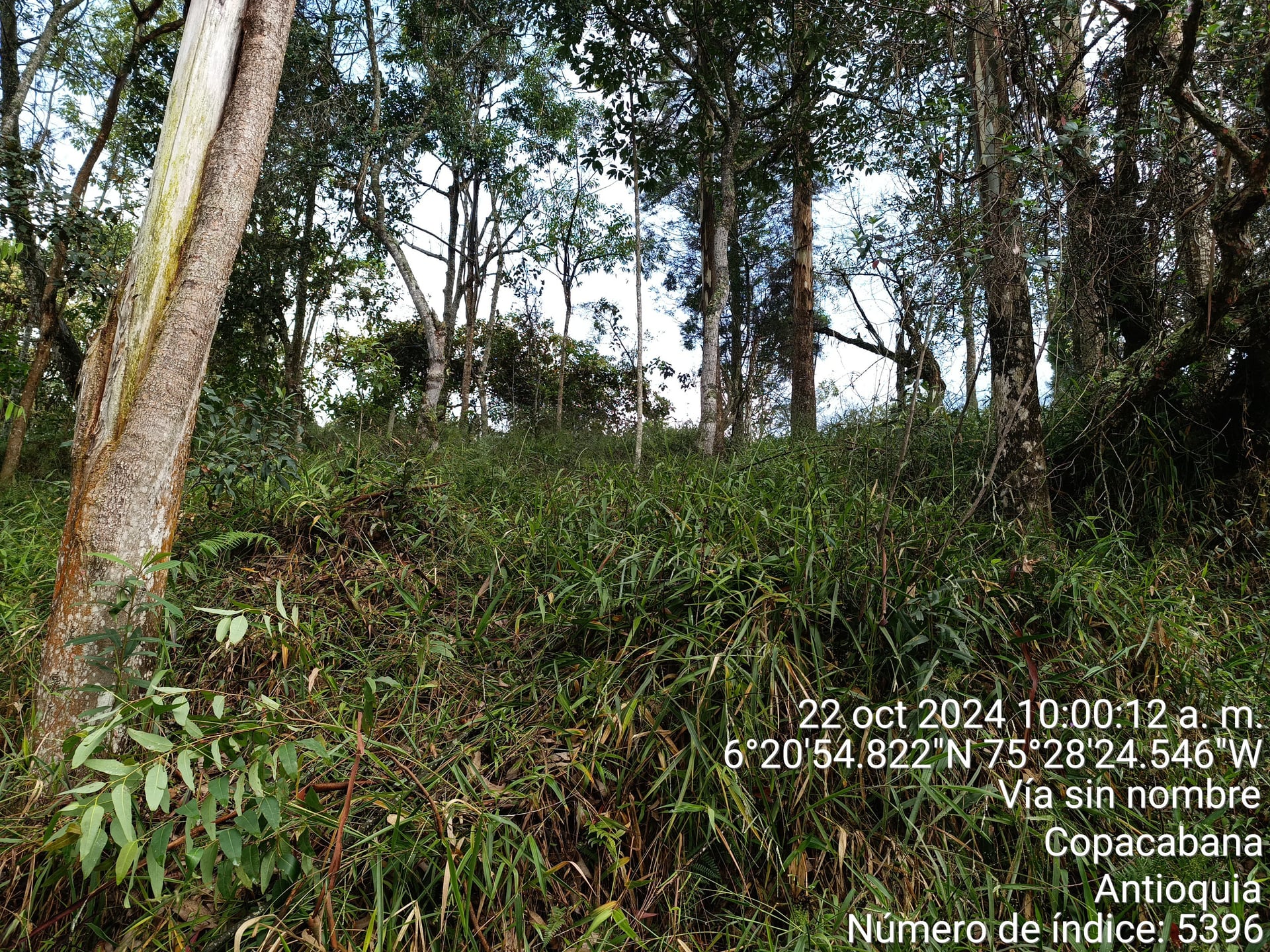 FINCA en Gestion - COPACABANA, ANTIOQUIA - 8
