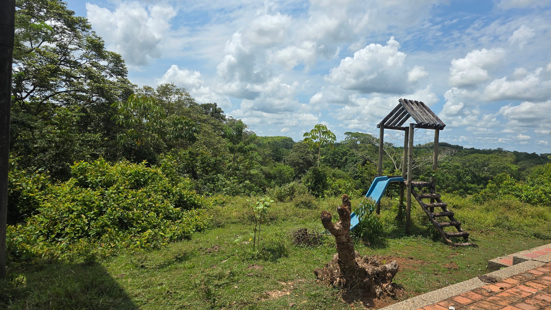 FINCA en Gestion - CAUCASIA, ANTIOQUIA - 25