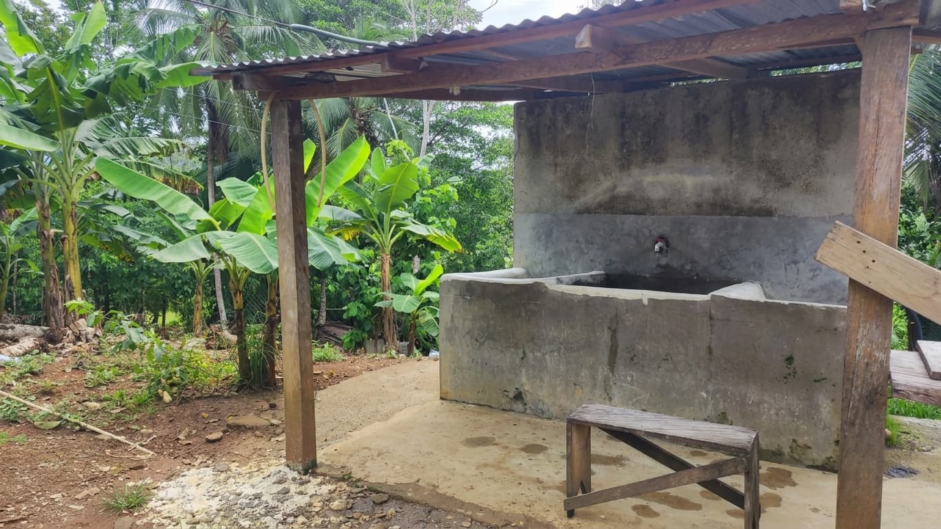 FINCA en Gestion - TARAZÁ, ANTIOQUIA - 5