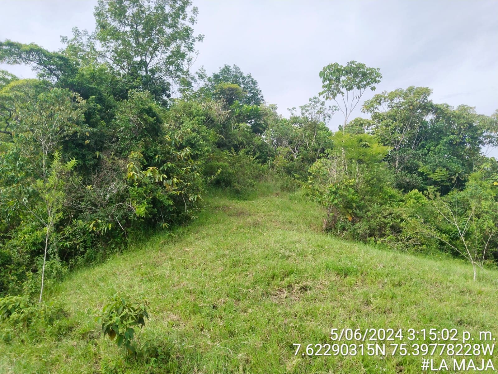 FINCA en Gestion - TARAZÁ, ANTIOQUIA - 2