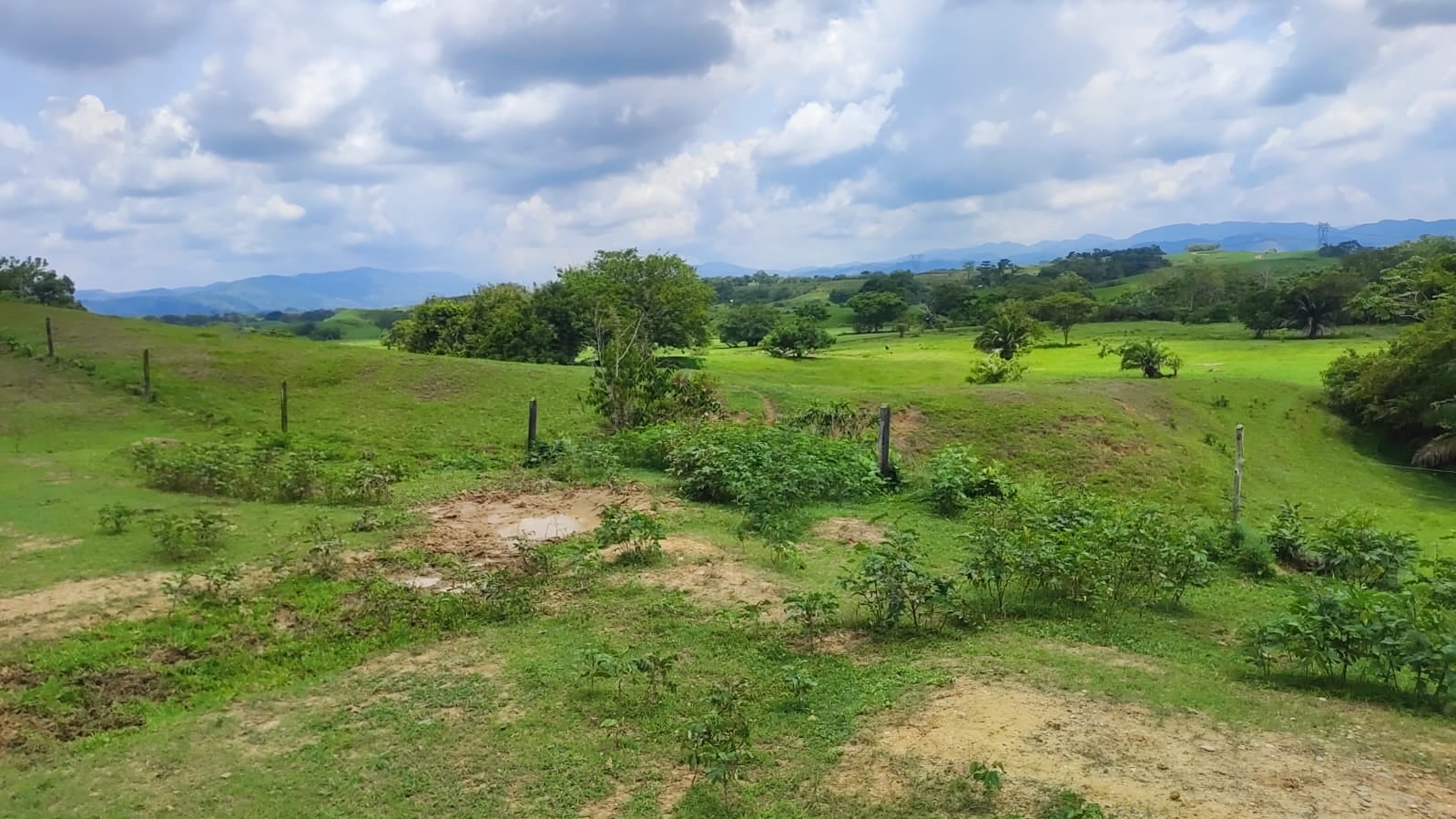 FINCA en Gestion - CÁCERES, ANTIOQUIA - 4