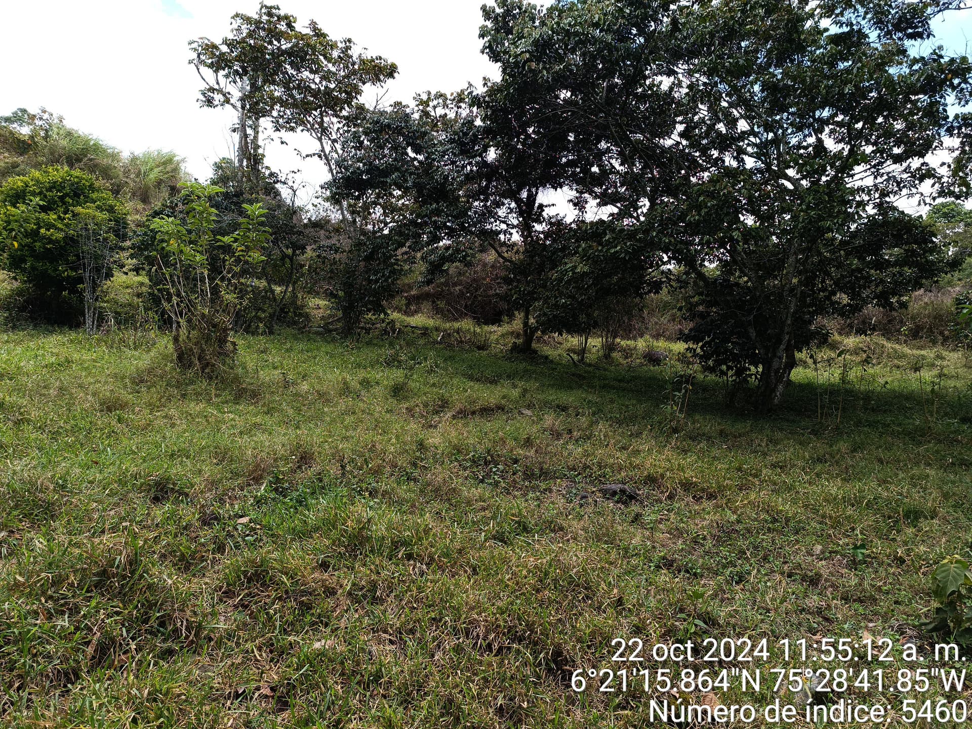 LOTE en Gestion - COPACABANA, ANTIOQUIA - 2