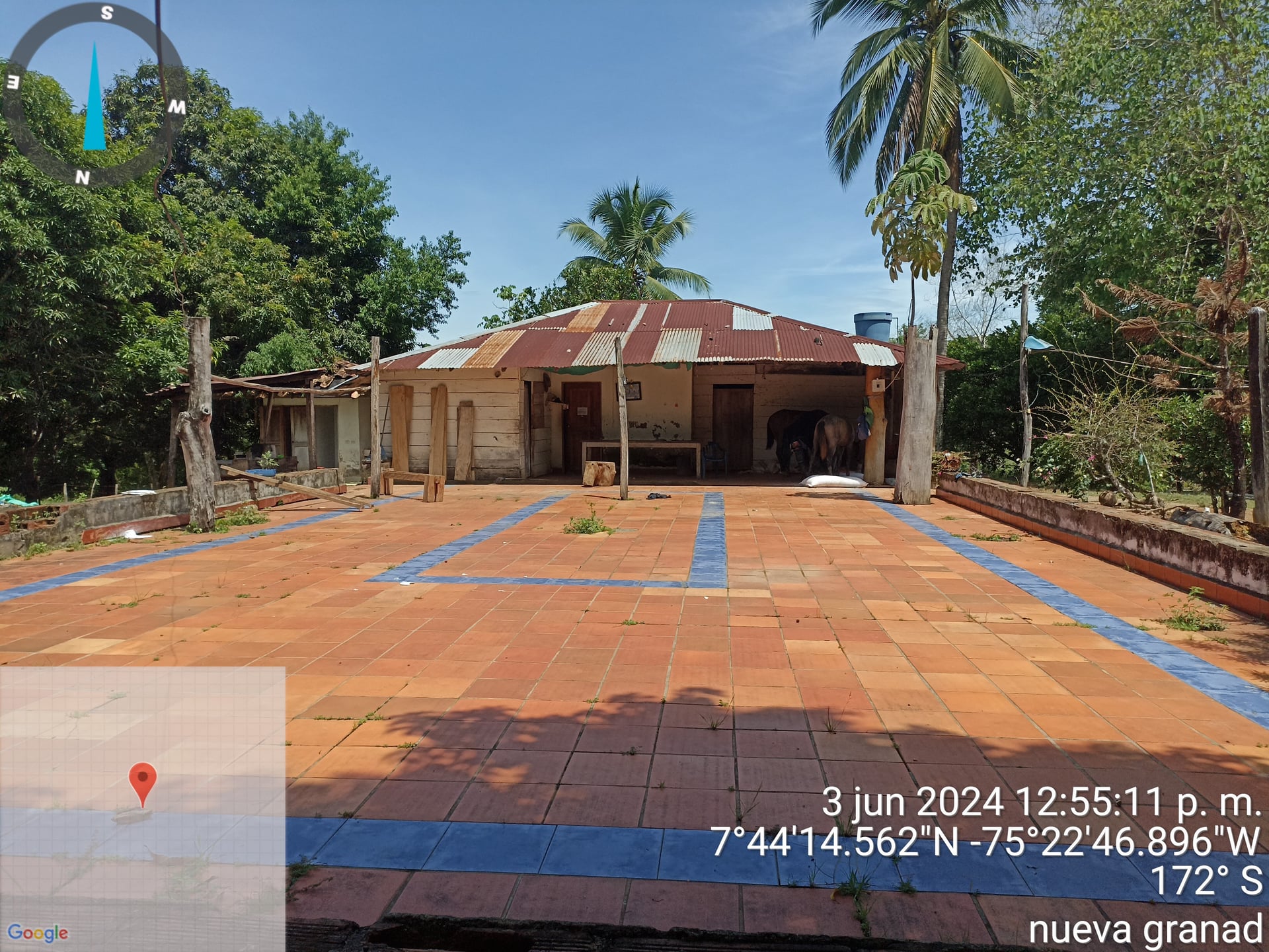FINCA en Gestion - CÁCERES, ANTIOQUIA - 5