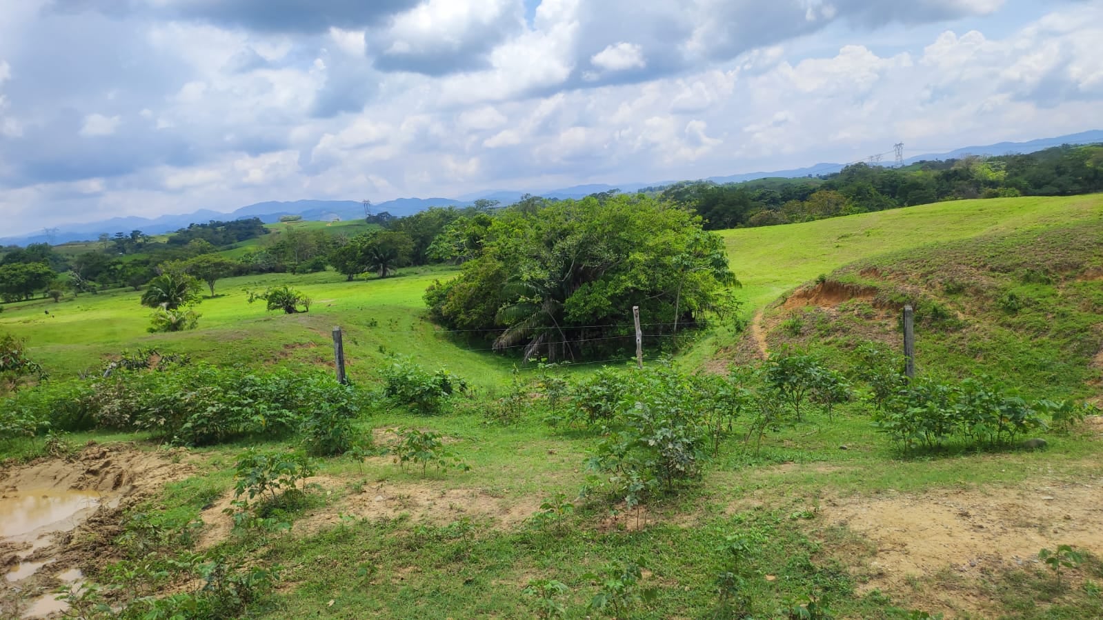 FINCA en Gestion - CÁCERES, ANTIOQUIA - 2