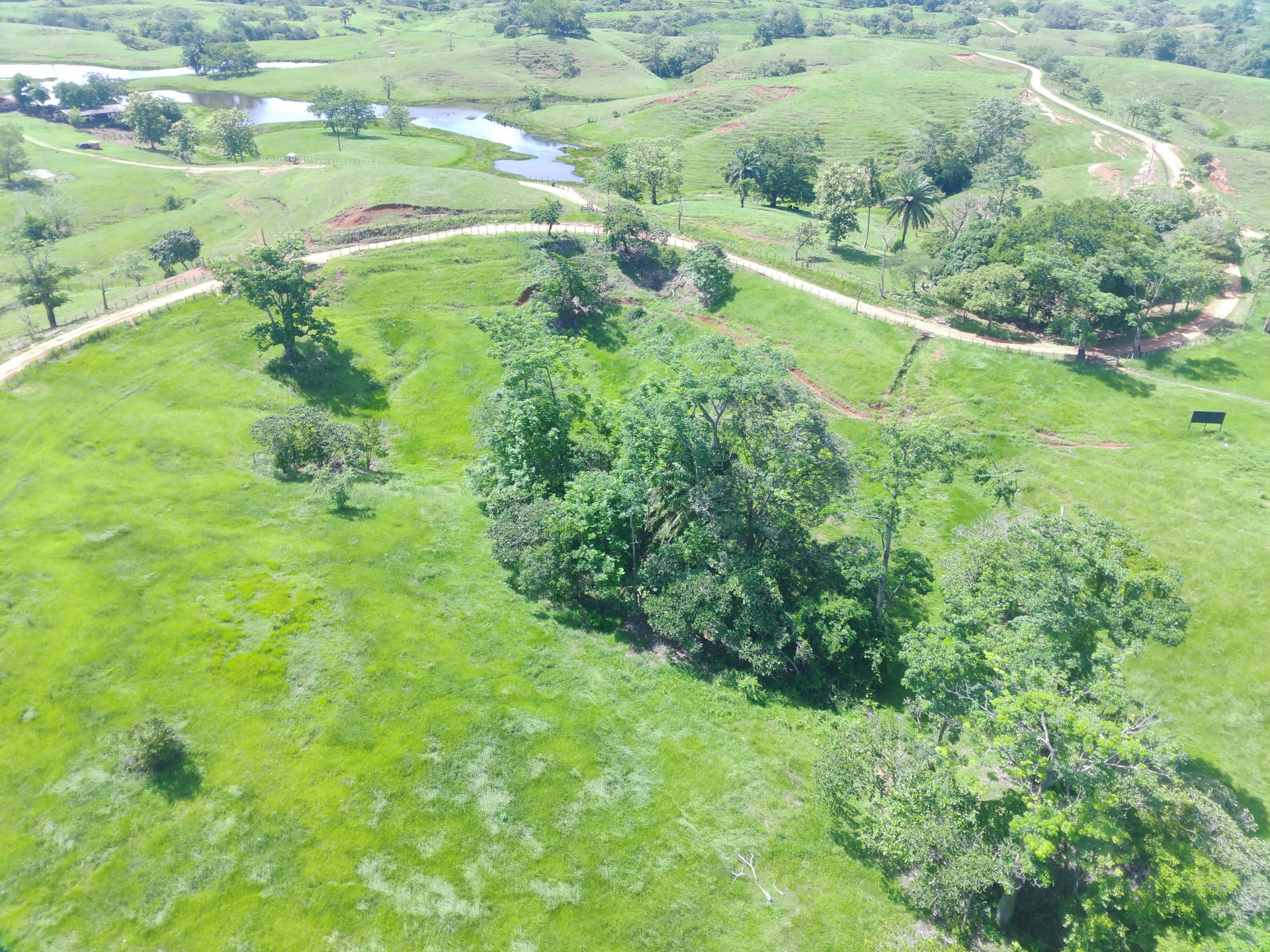 FINCA en Gestion - CÁCERES, ANTIOQUIA - 12