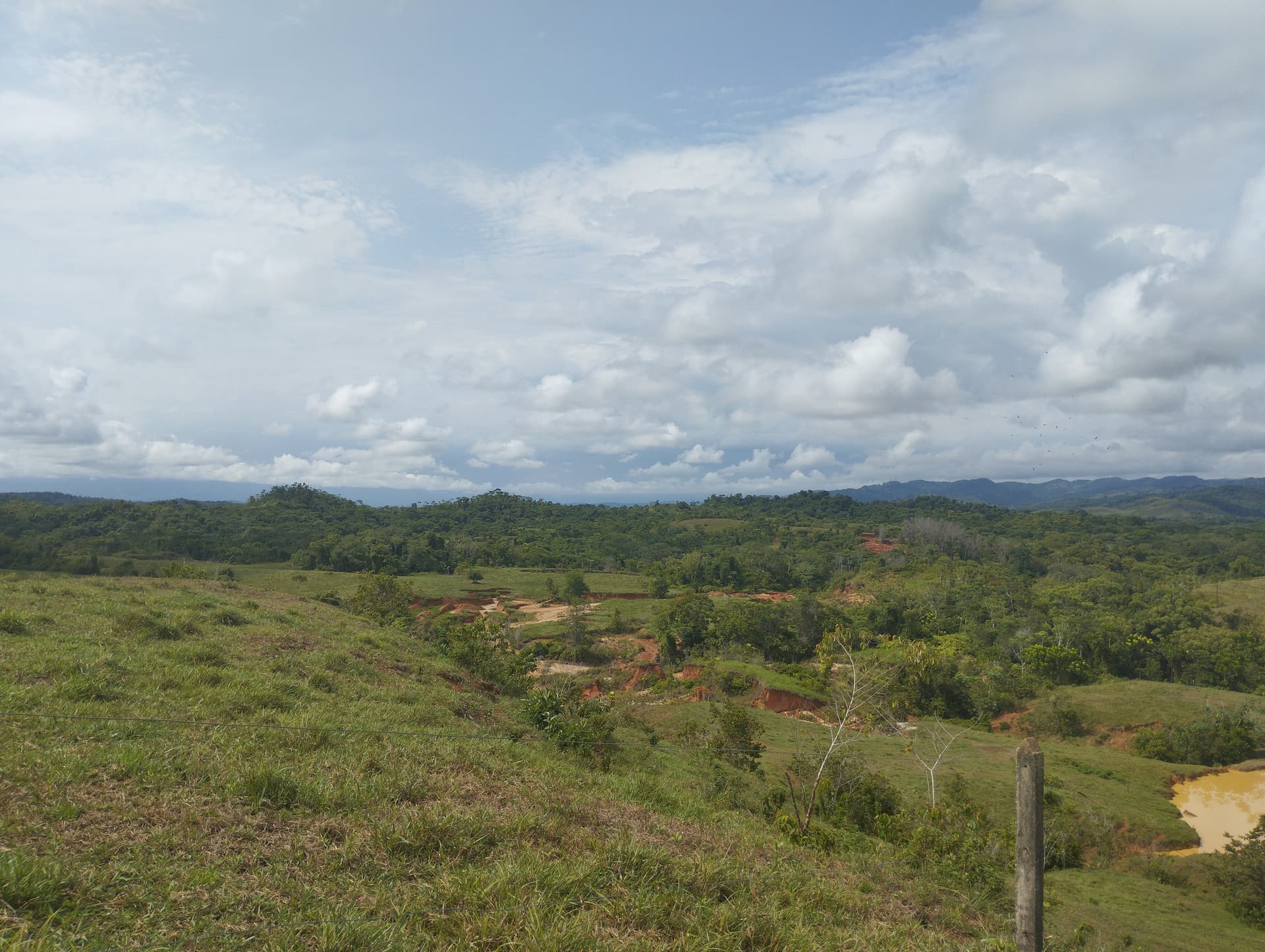 FINCA en Gestion - TARAZÁ, ANTIOQUIA - 13