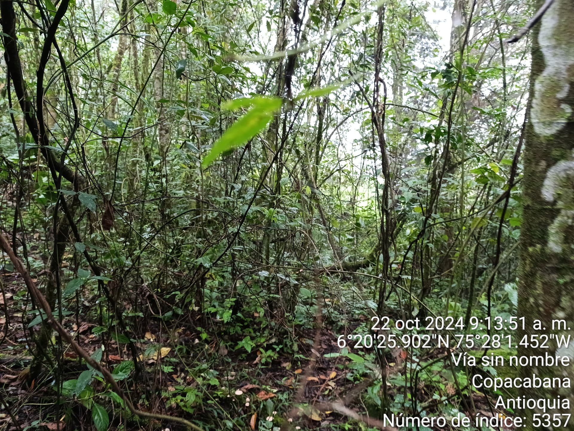 LOTE en Gestion - COPACABANA, ANTIOQUIA - 6