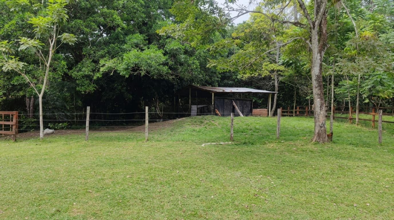 FINCA en Gestion - PUERTO PARRA, SANTANDER - 7