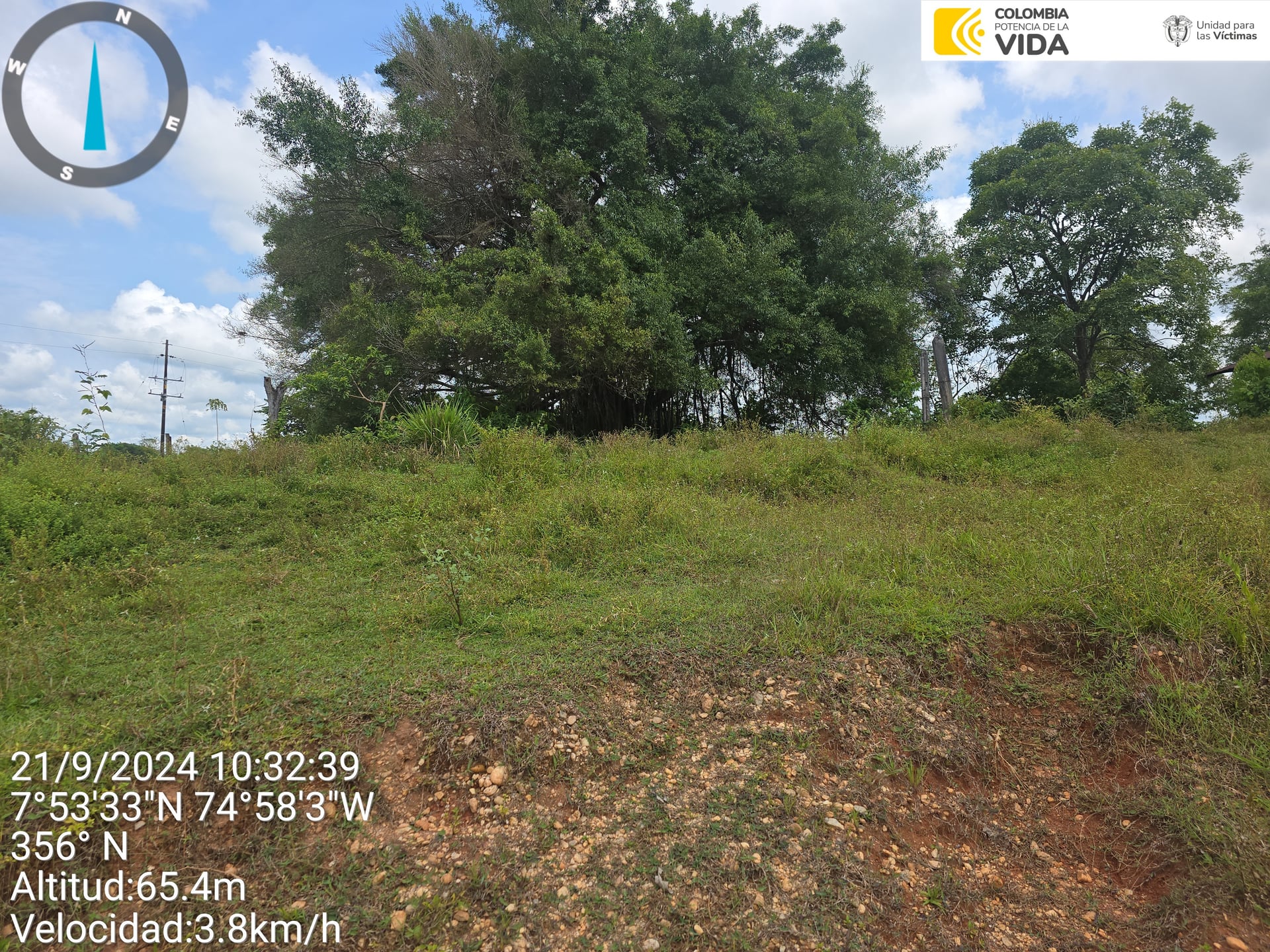 FINCA en Gestion - CAUCASIA, ANTIOQUIA - 52