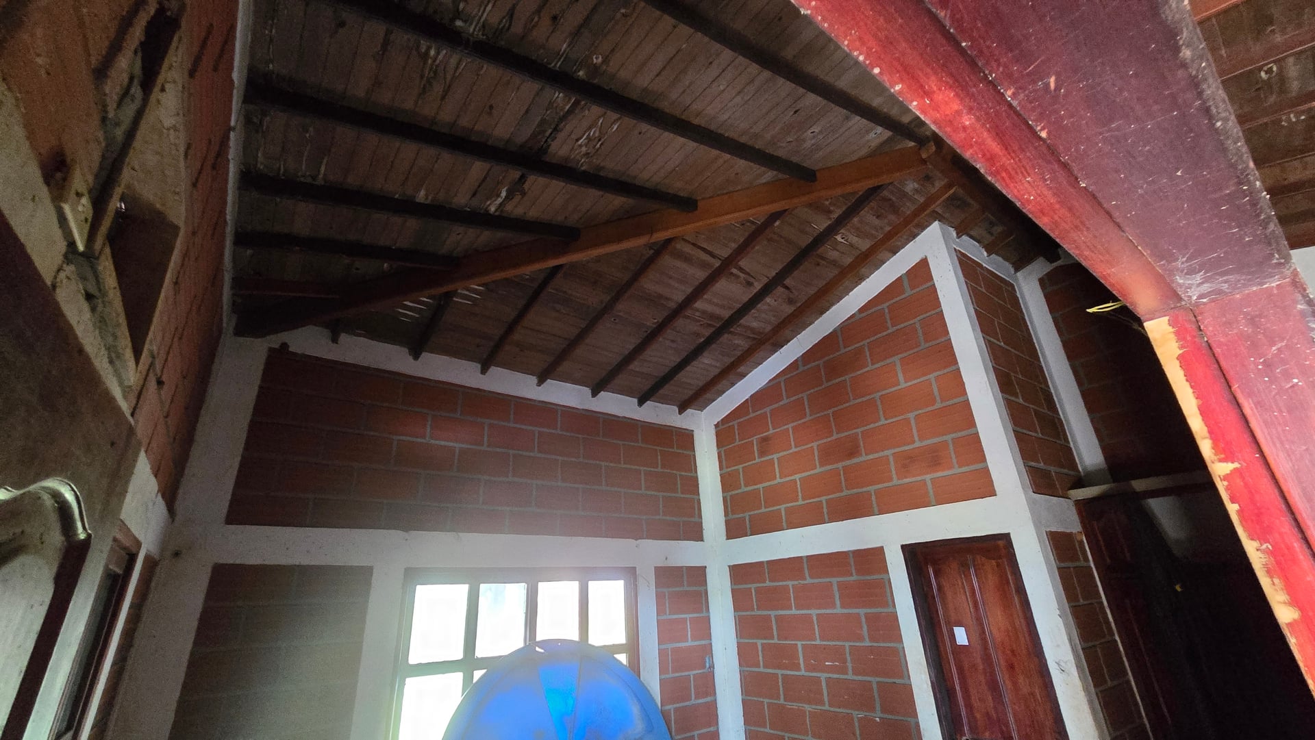 FINCA en Gestion - CAUCASIA, ANTIOQUIA - 15