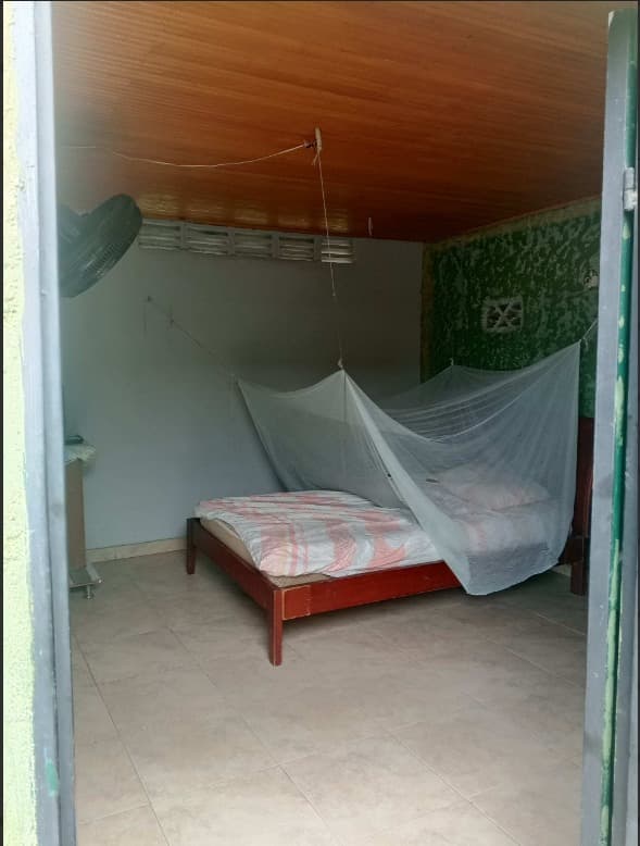 LOTE en Gestion - GUAMO, TOLIMA - 2