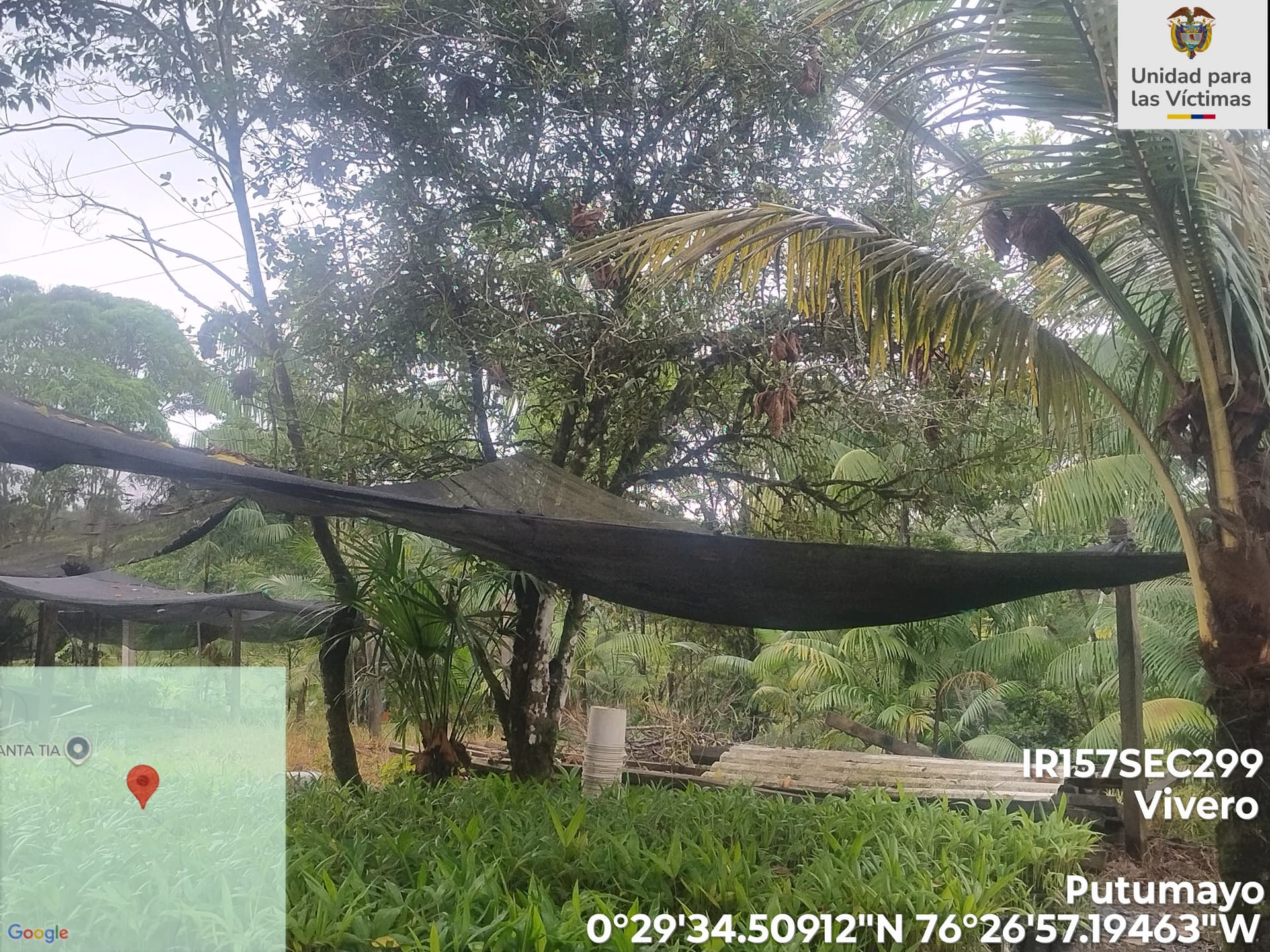 FINCA en Gestion - PUERTO ASÍS, PUTUMAYO - 5