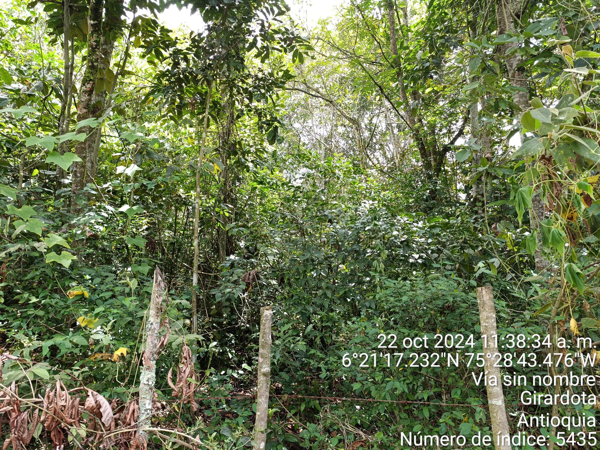 LOTE en Gestion - COPACABANA, ANTIOQUIA - 9