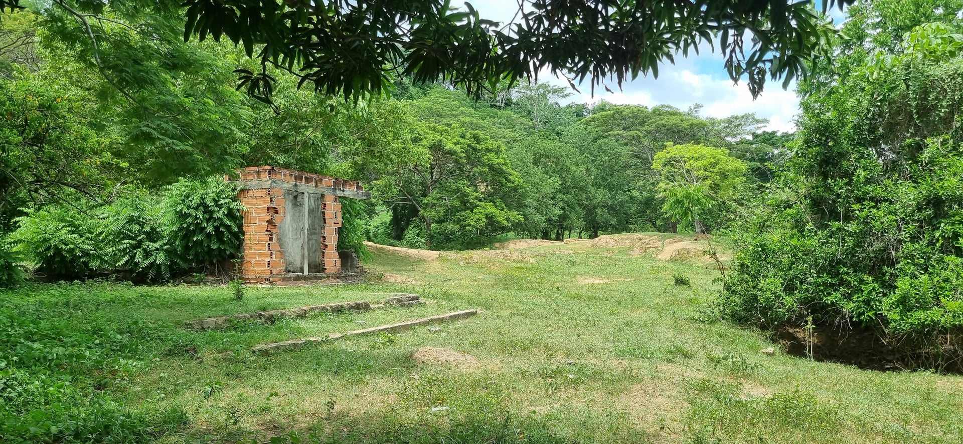 FINCA en Gestion - TIERRALTA, CÓRDOBA - 2