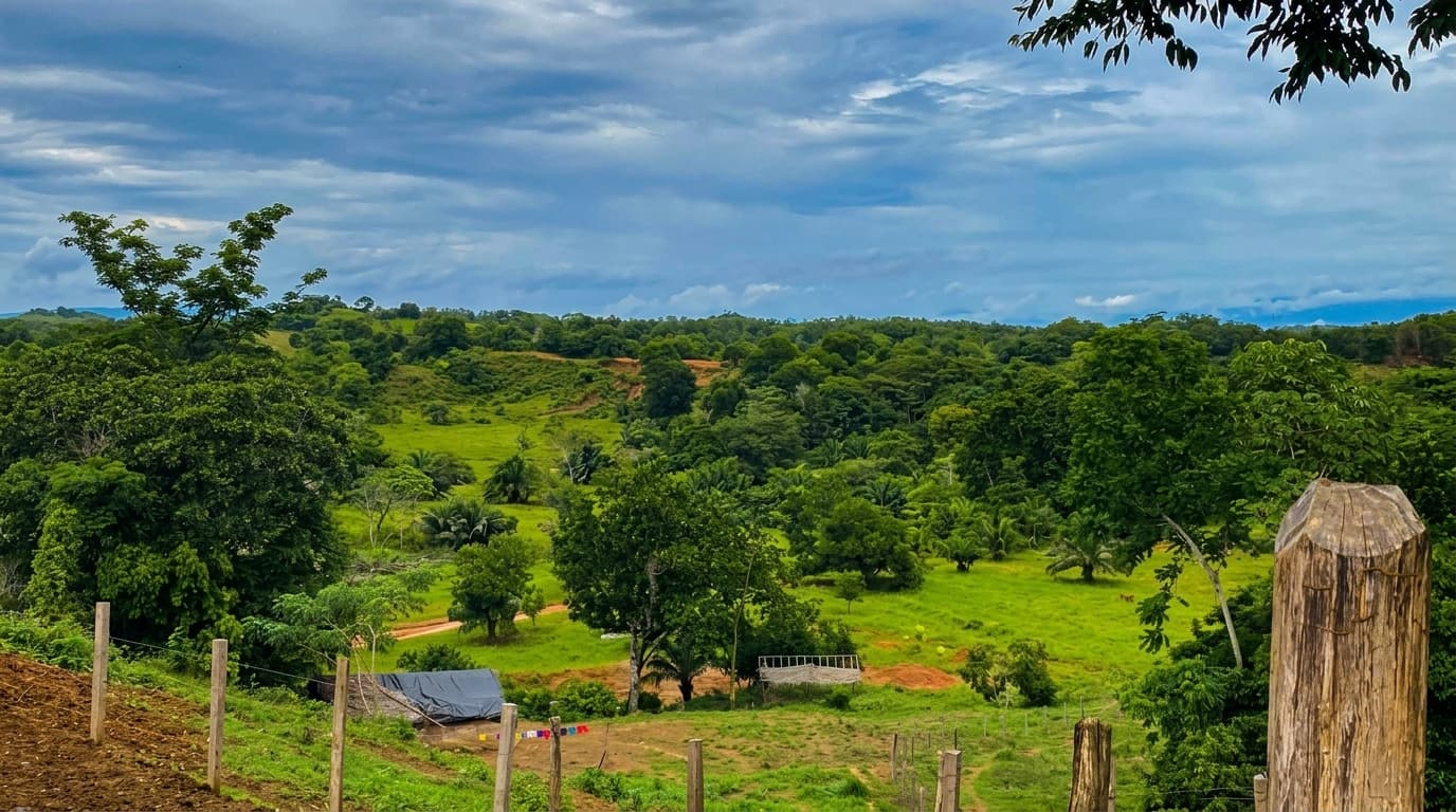 LOTE en Gestion - CÁCERES, ANTIOQUIA - 2
