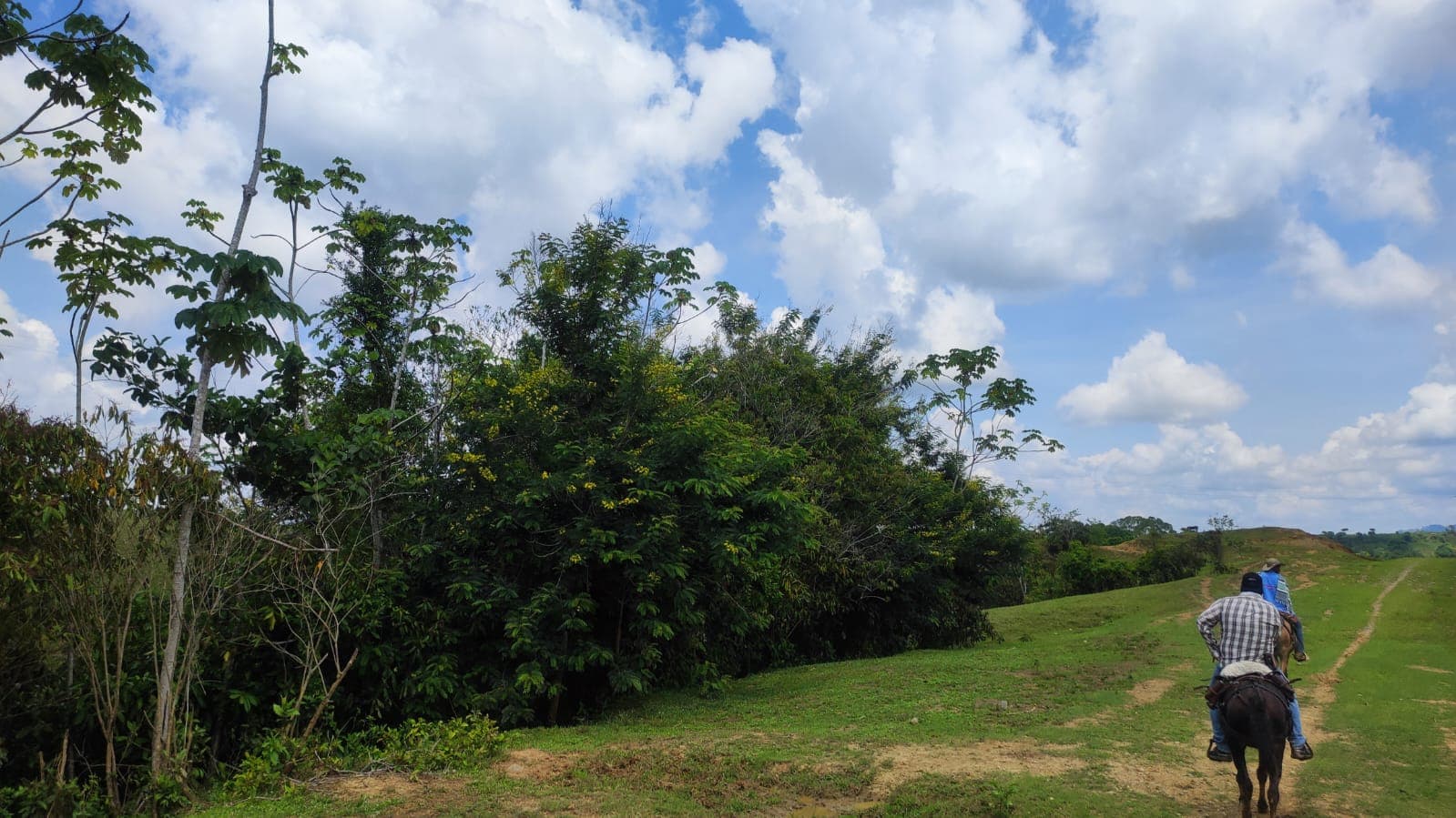 FINCA en Gestion - CÁCERES, ANTIOQUIA