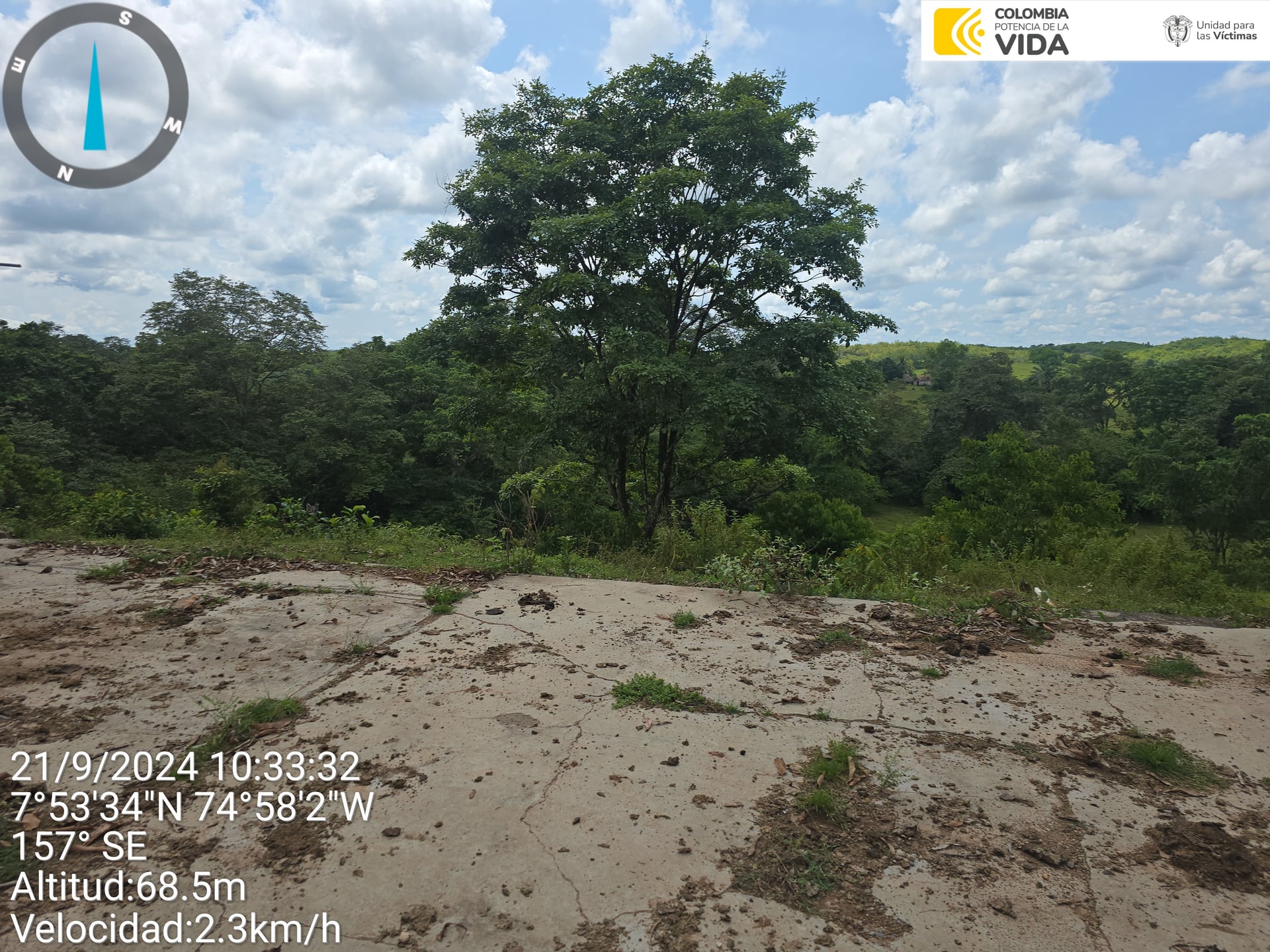 FINCA en Gestion - CAUCASIA, ANTIOQUIA - 11
