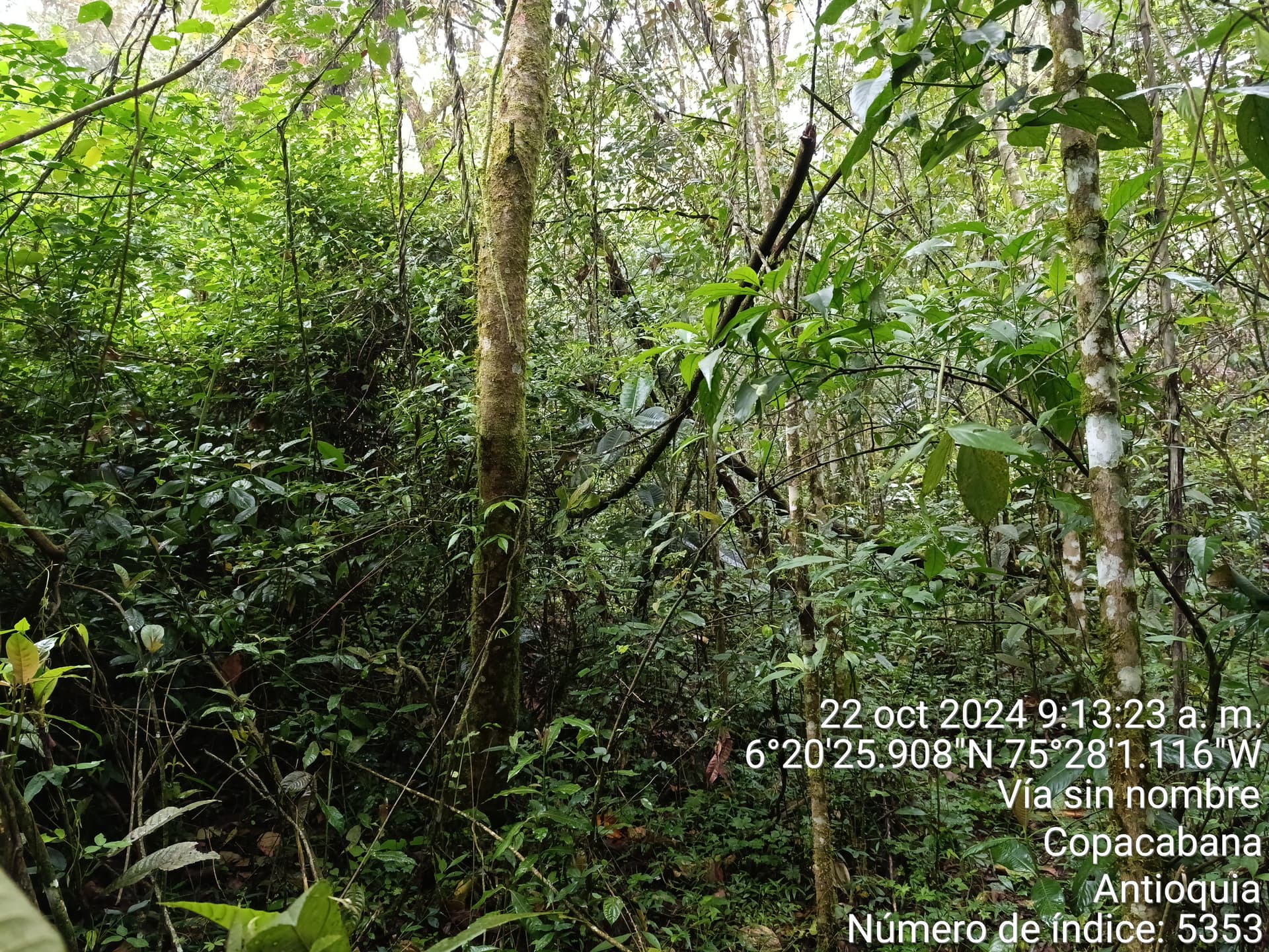 LOTE en Gestion - COPACABANA, ANTIOQUIA - 8