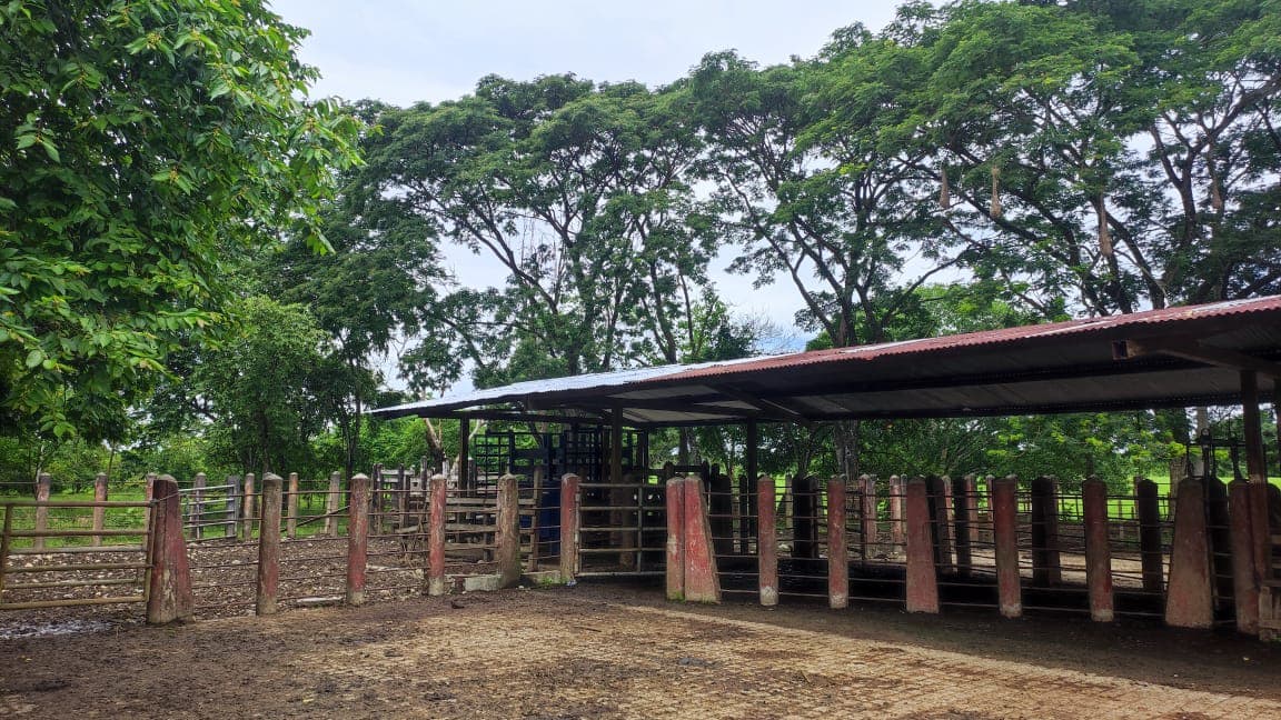 FINCA en Gestion - TARAZÁ, ANTIOQUIA - 1