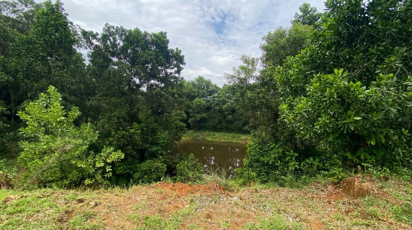 LOTE en Gestion - CÁCERES, ANTIOQUIA - 4