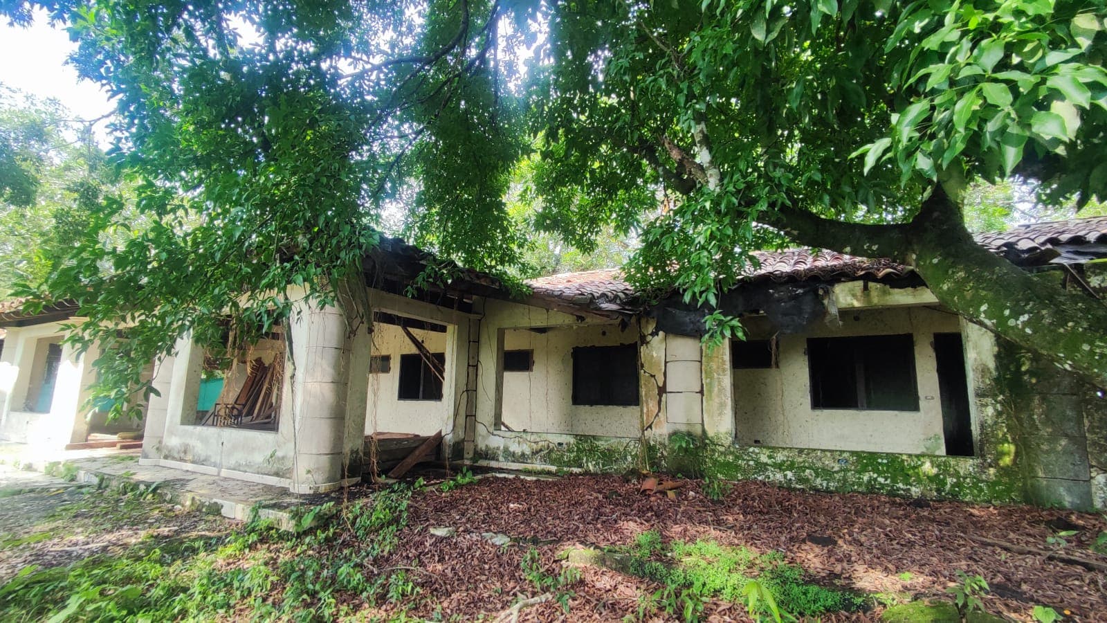 FINCA en Gestion - TARAZÁ, ANTIOQUIA - 3