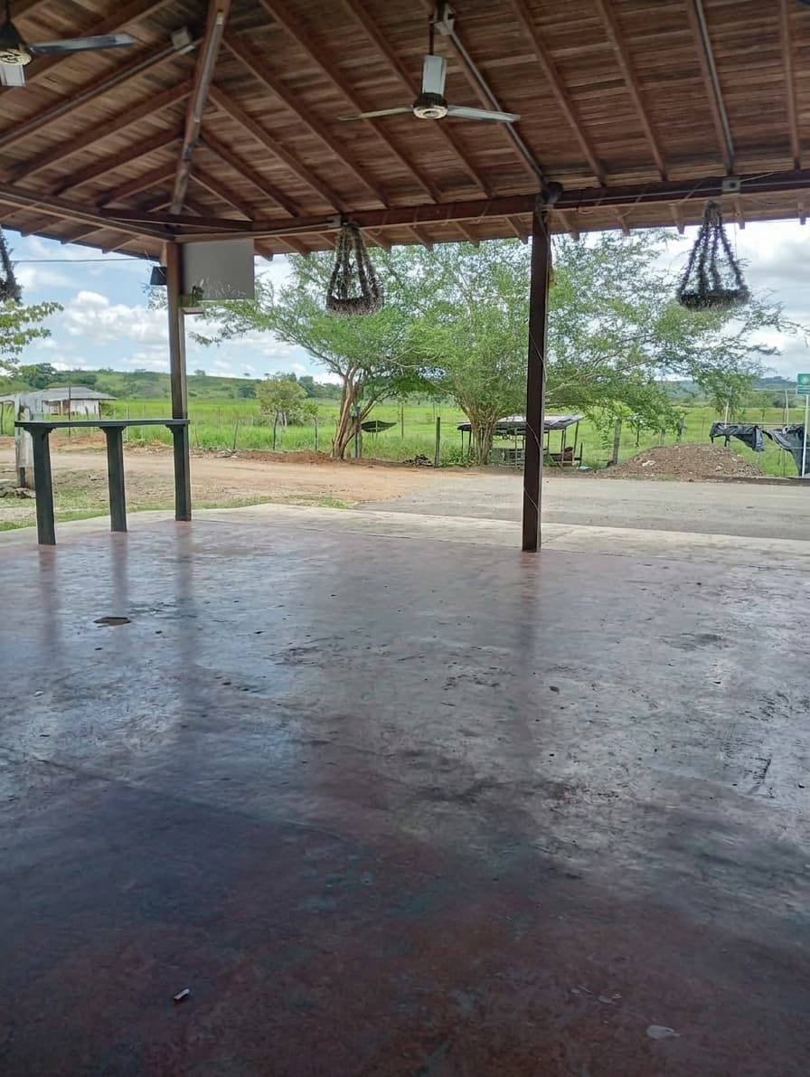 FINCA en Gestion - TARAZÁ, ANTIOQUIA - 1