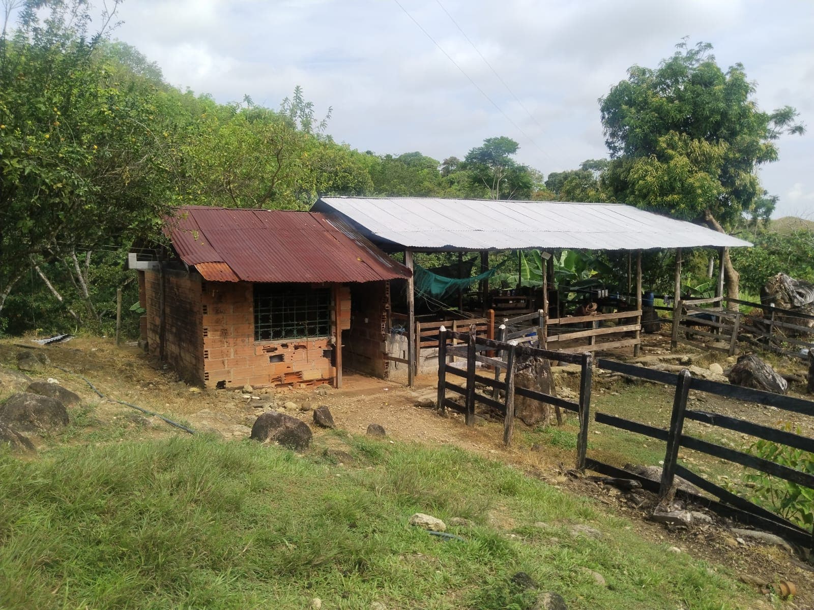 FINCA en Gestion - TARAZÁ, ANTIOQUIA - 6