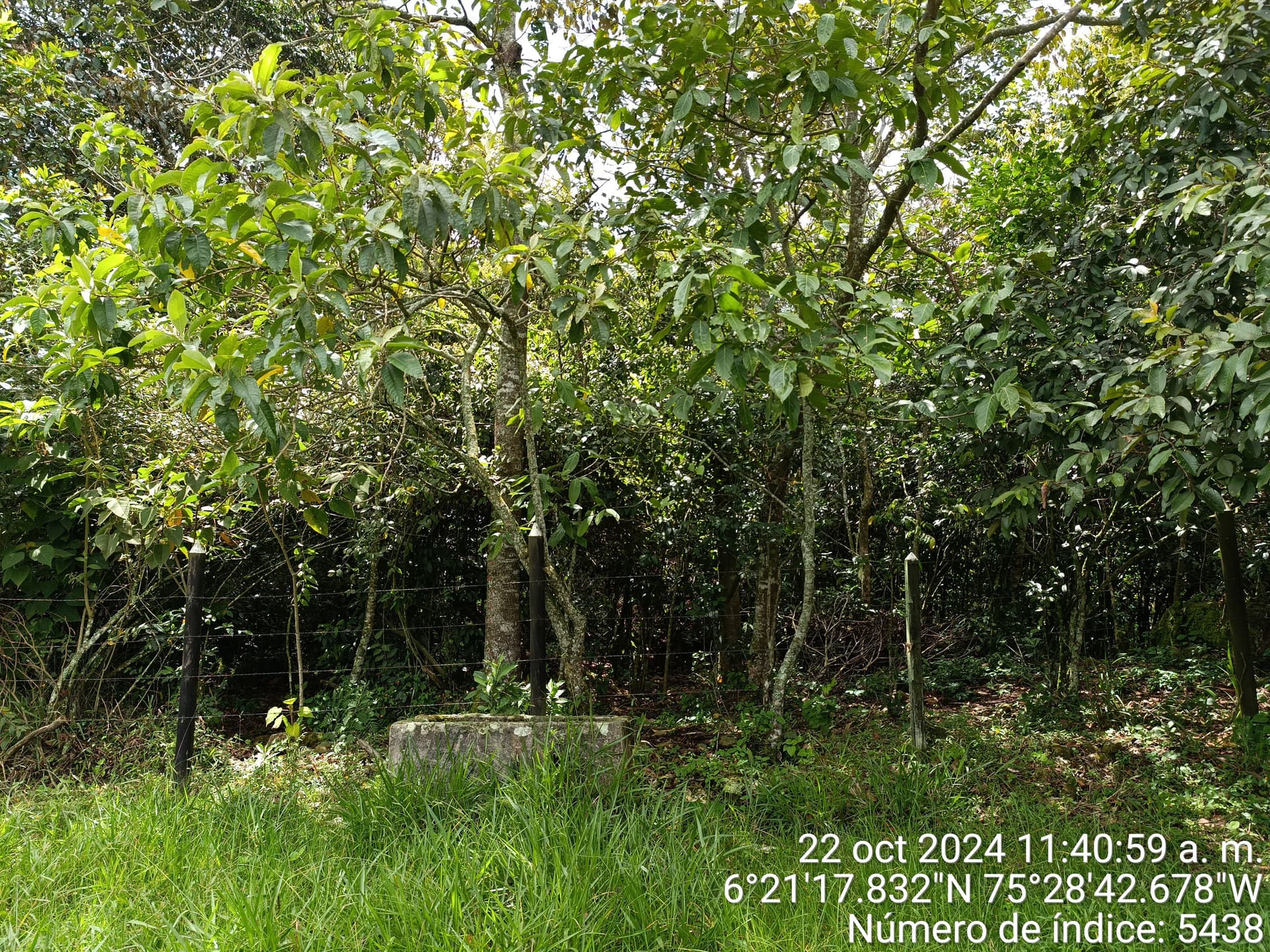 LOTE en Gestion - COPACABANA, ANTIOQUIA