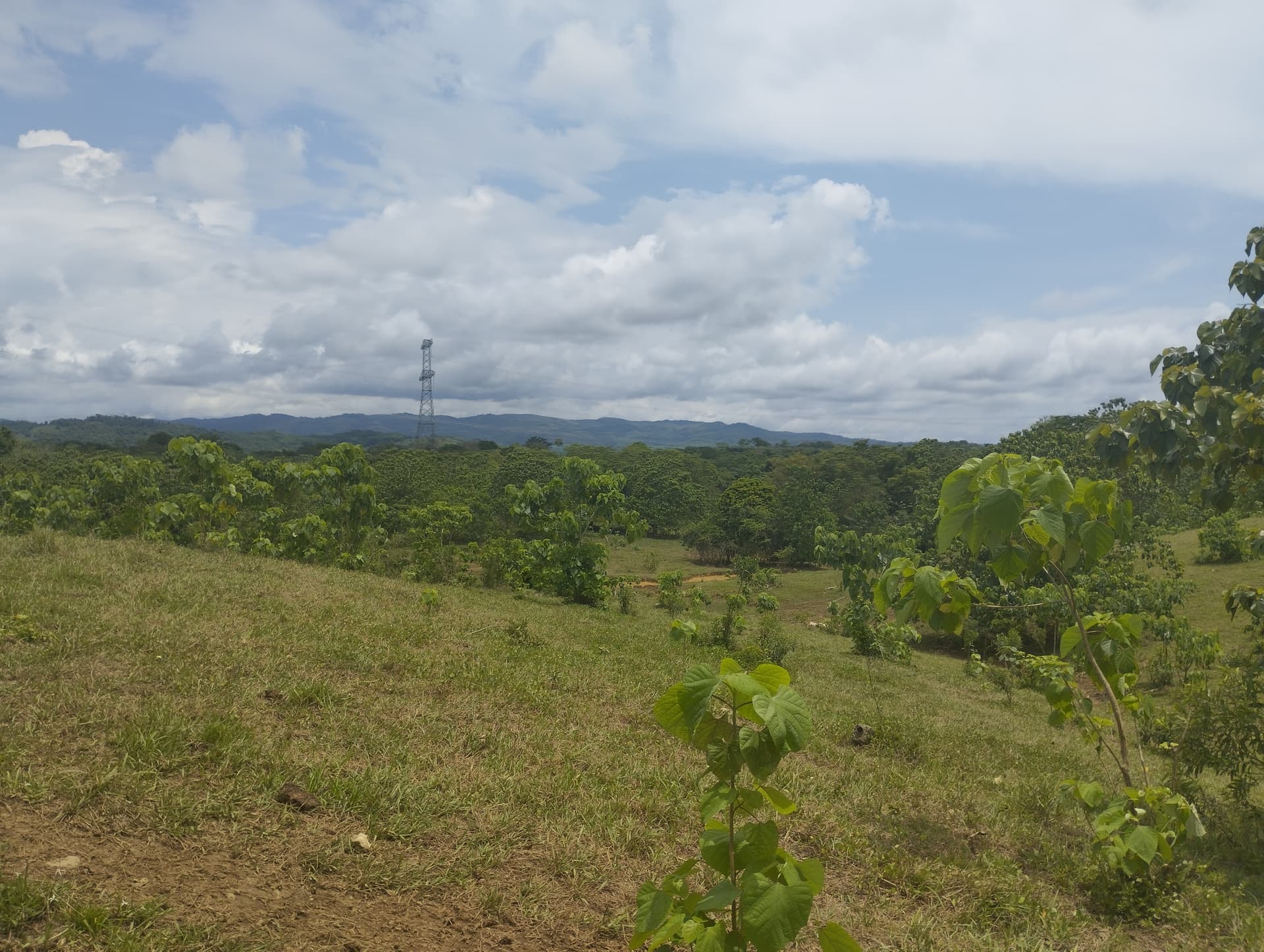 FINCA en Gestion - CÁCERES, ANTIOQUIA - 3