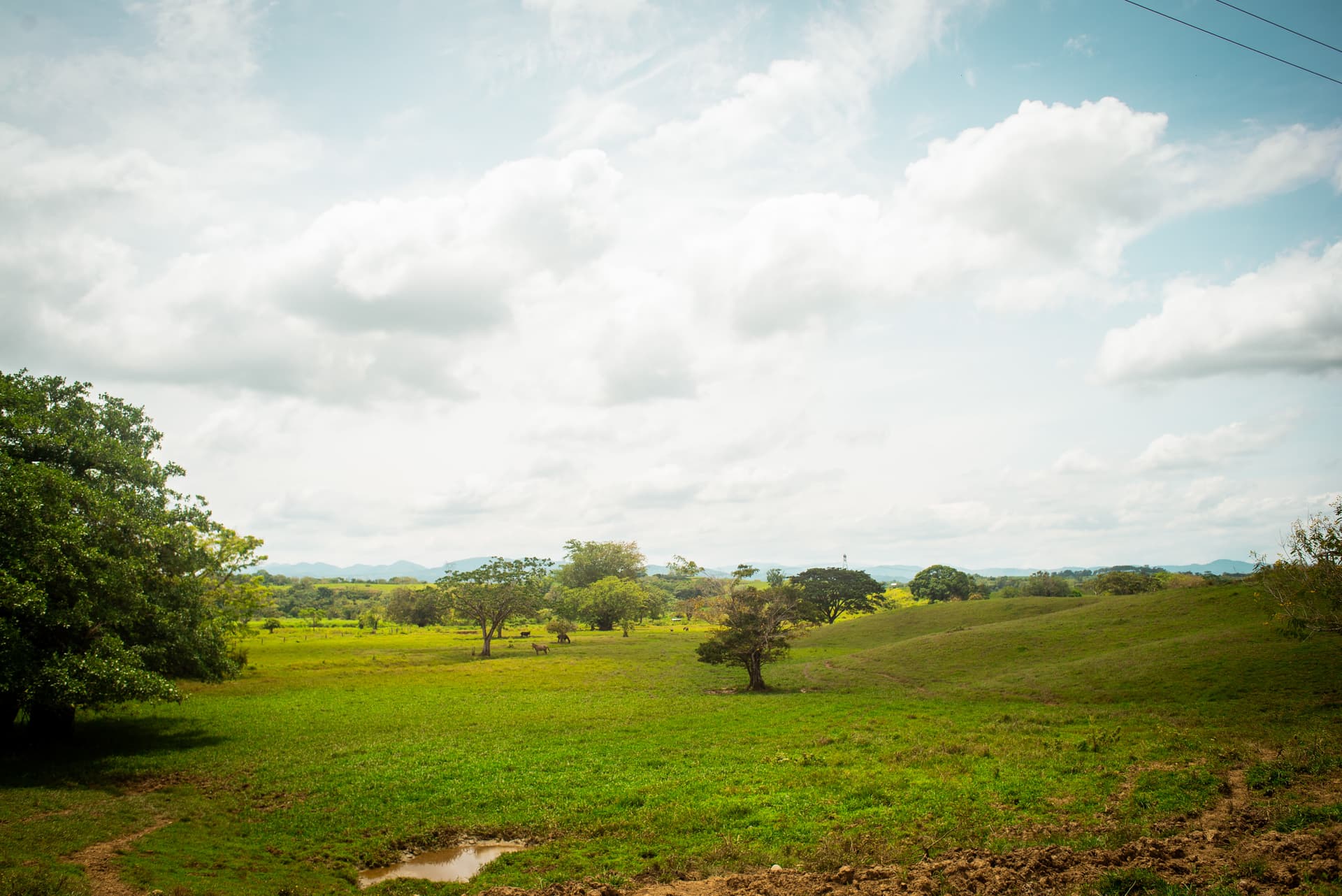 FINCA en Gestion - TARAZÁ, ANTIOQUIA - 5