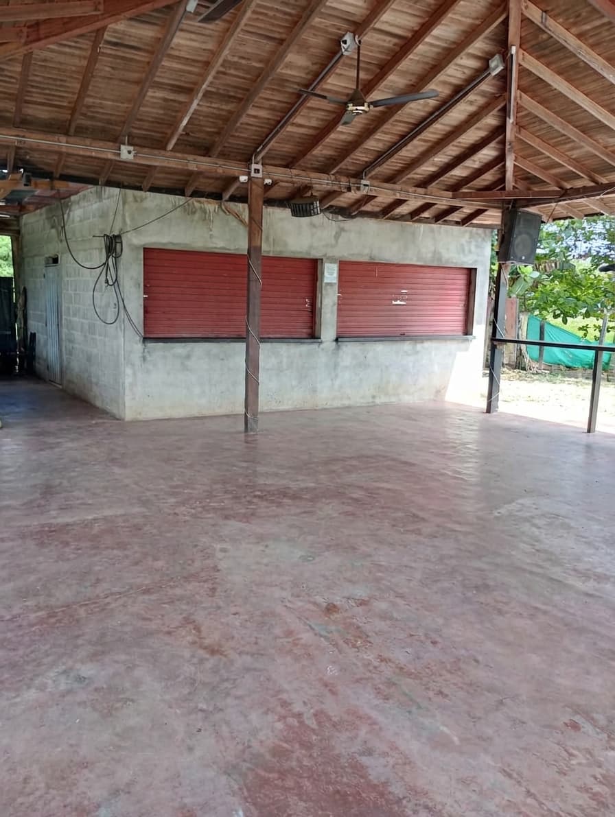 FINCA en Gestion - TARAZÁ, ANTIOQUIA - 3