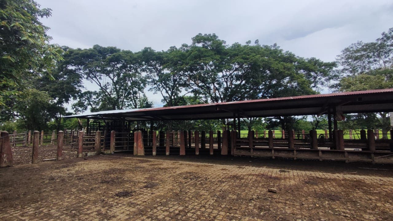 FINCA en Gestion - TARAZÁ, ANTIOQUIA - 22