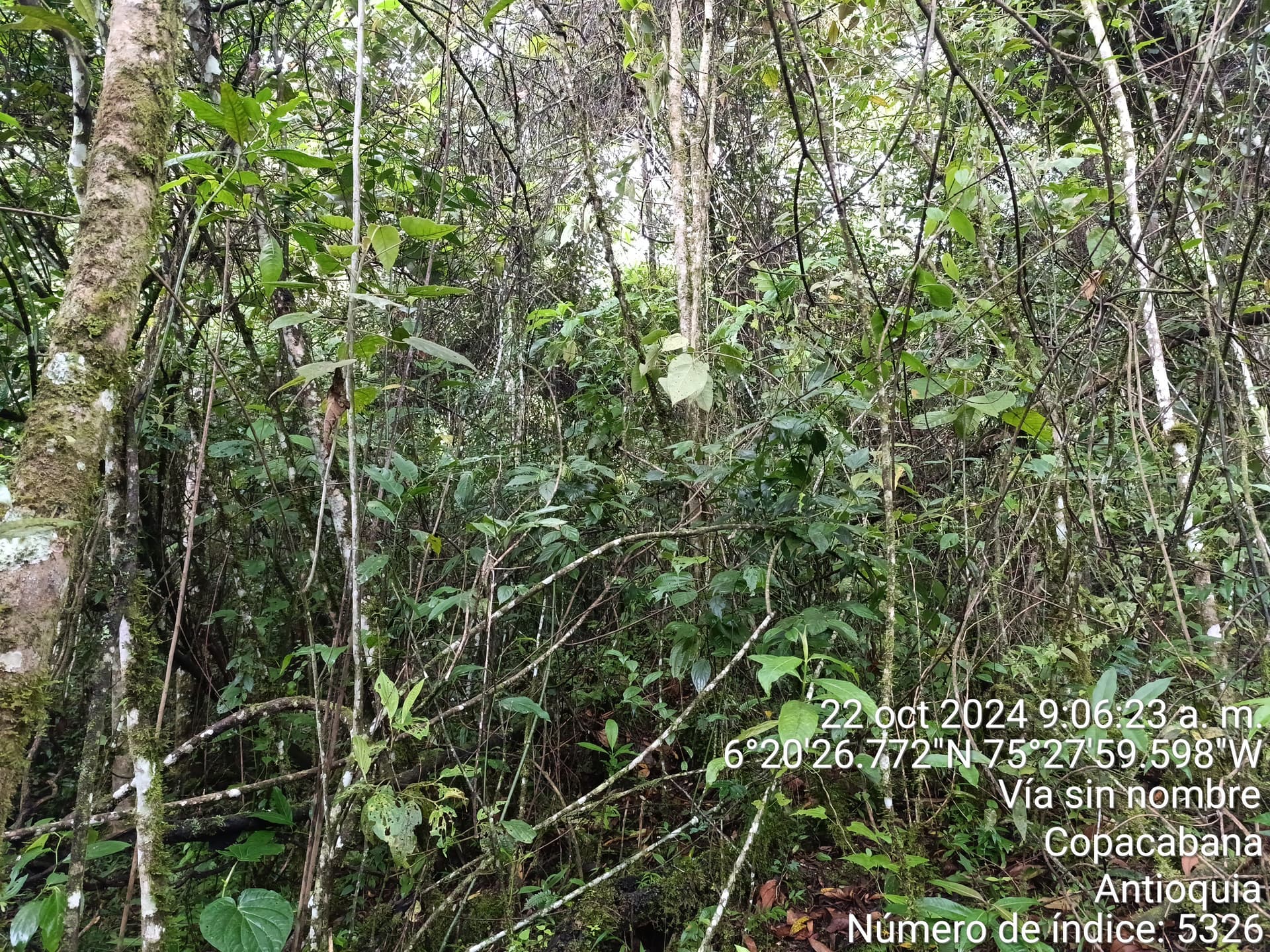LOTE en Gestion - COPACABANA, ANTIOQUIA