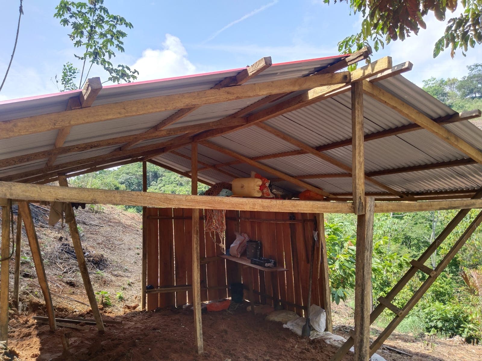 FINCA en Gestion - TARAZÁ, ANTIOQUIA - 10