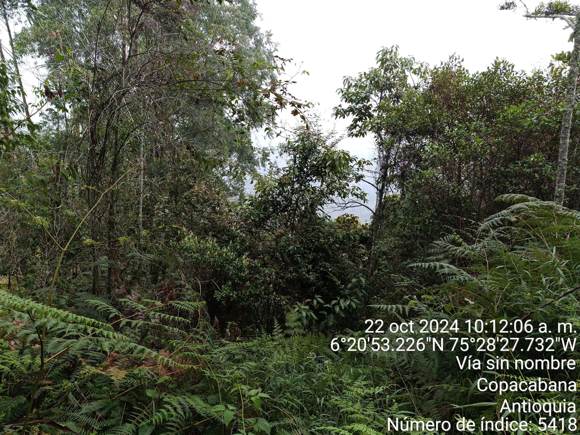 FINCA en Gestion - COPACABANA, ANTIOQUIA - 1