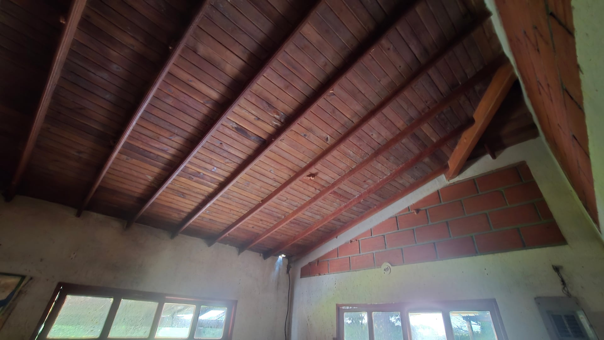 FINCA en Gestion - CAUCASIA, ANTIOQUIA - 14