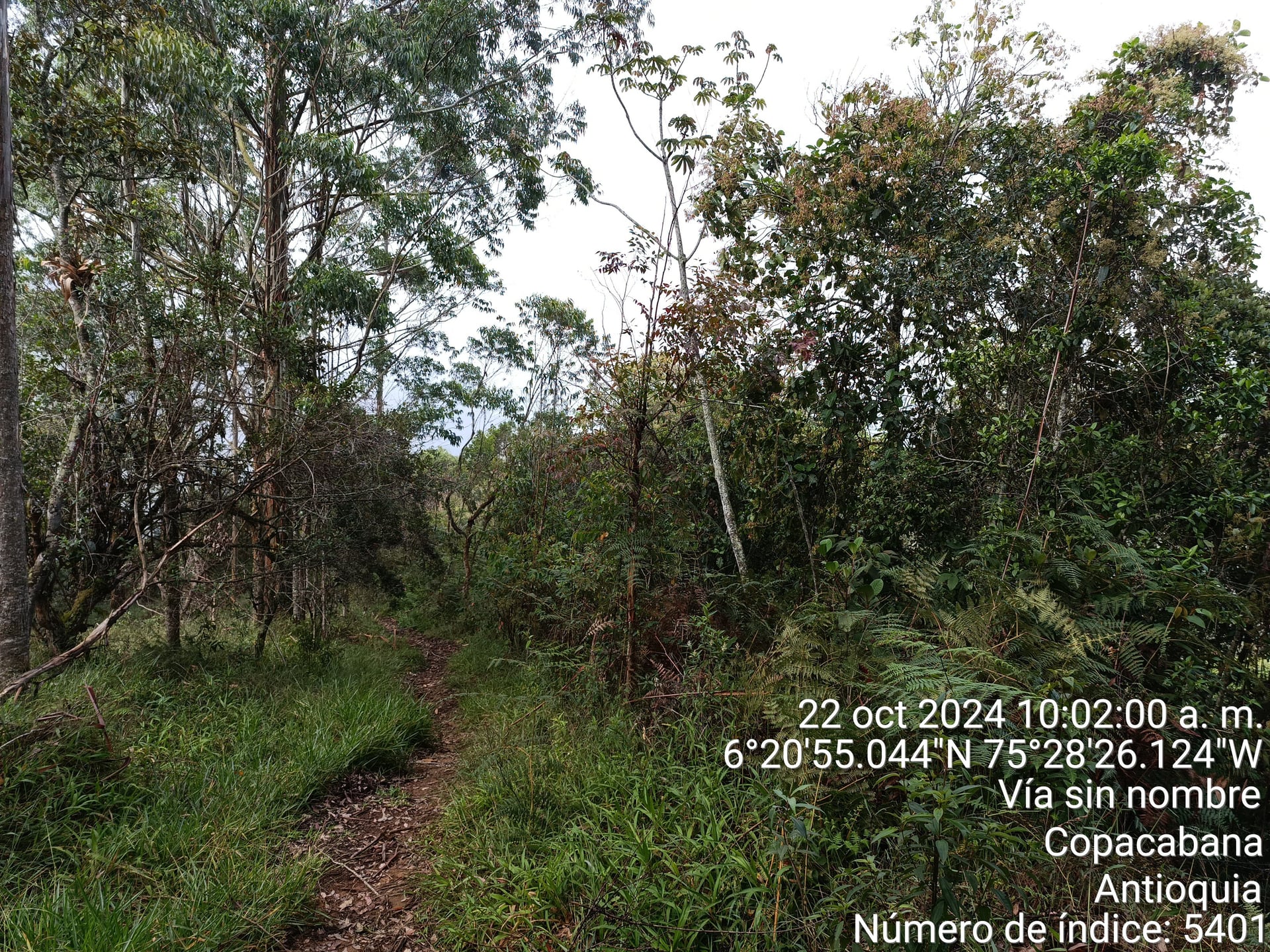 FINCA en Gestion - COPACABANA, ANTIOQUIA - 2