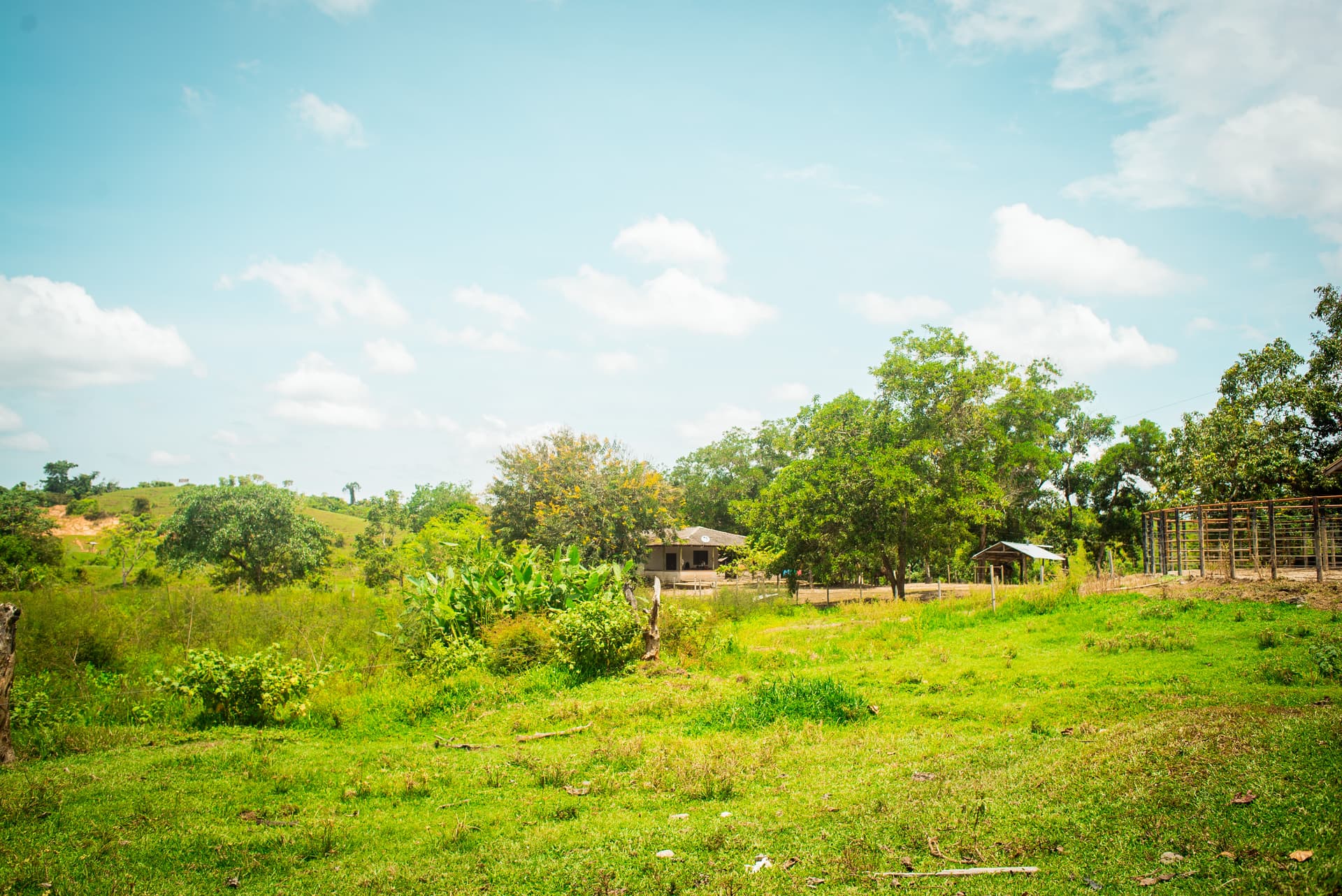 FINCA en Gestion - TARAZÁ, ANTIOQUIA - 10