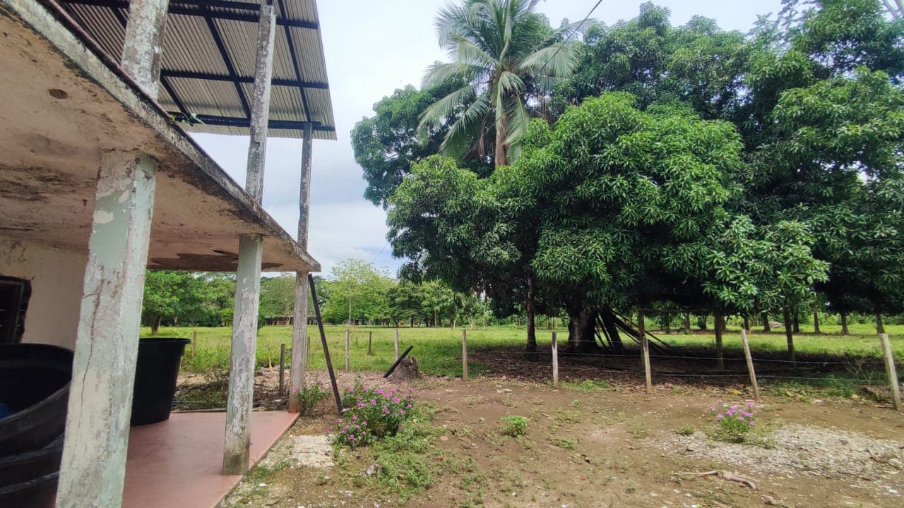 FINCA en Gestion - TARAZÁ, ANTIOQUIA - 4