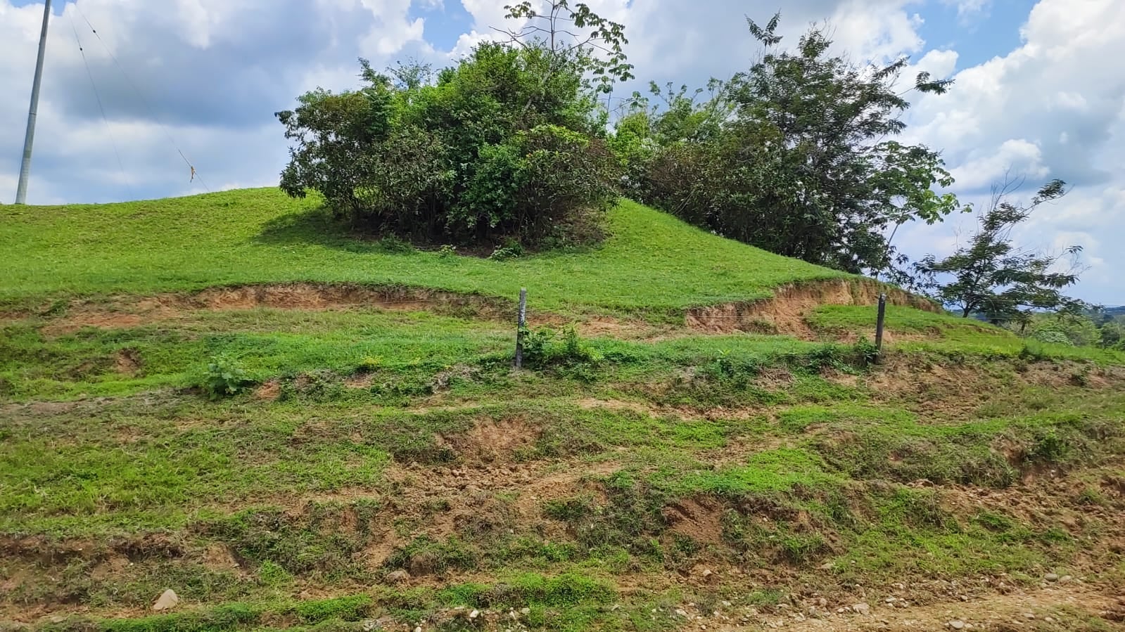 FINCA en Gestion - CÁCERES, ANTIOQUIA - 5