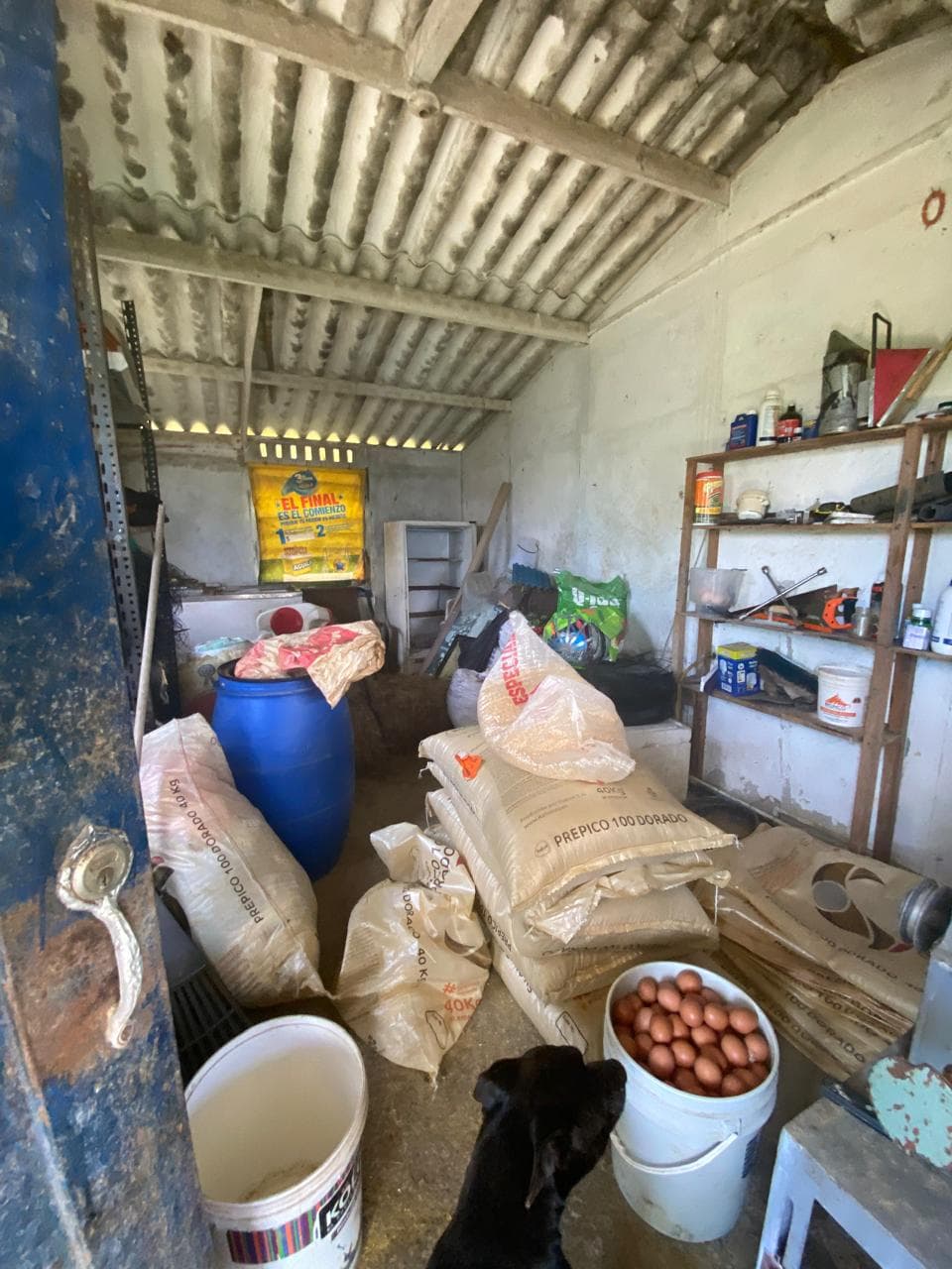 FINCA en Gestion - COPACABANA, ANTIOQUIA - 1