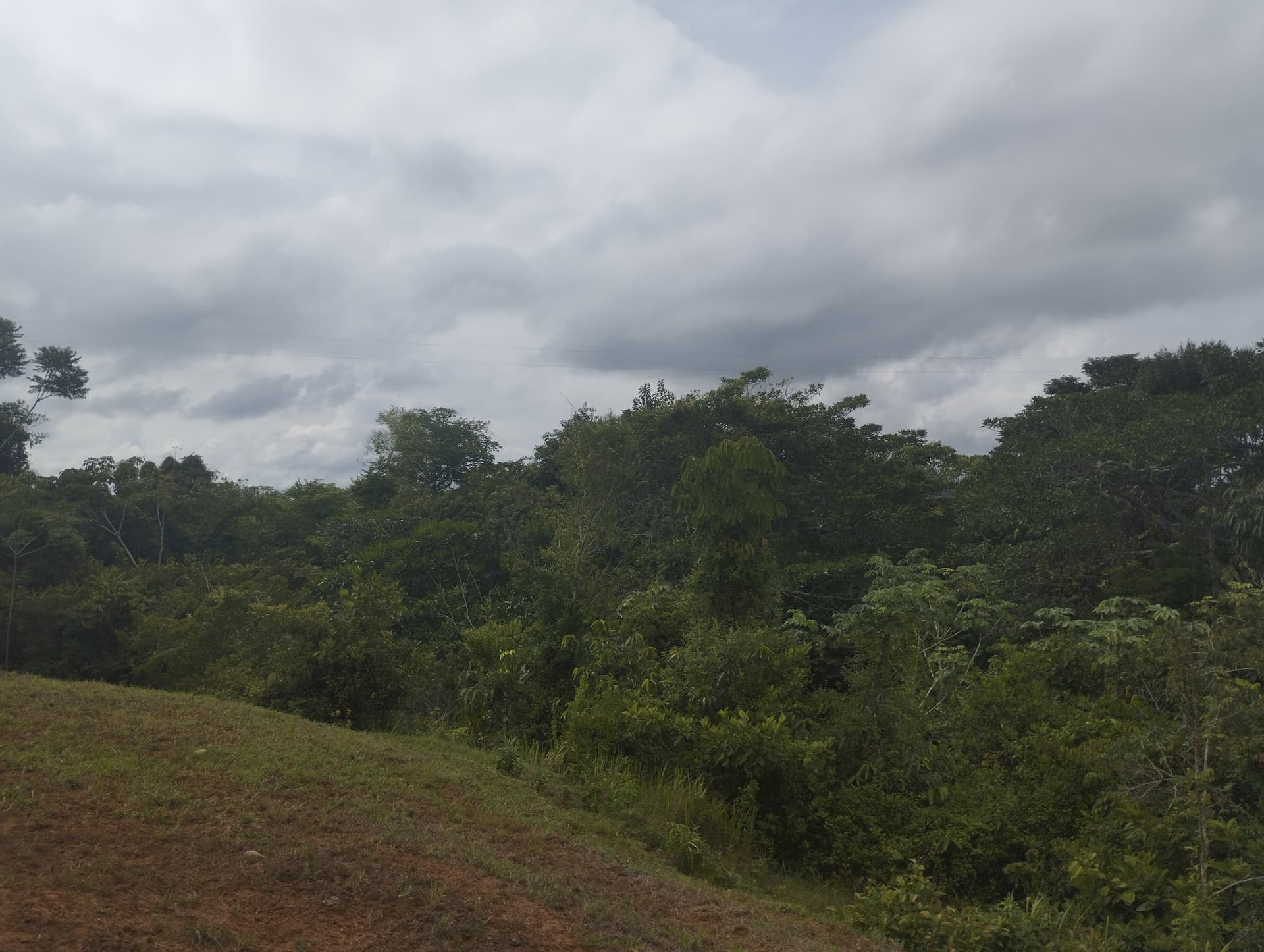 FINCA en Gestion - CÁCERES, ANTIOQUIA