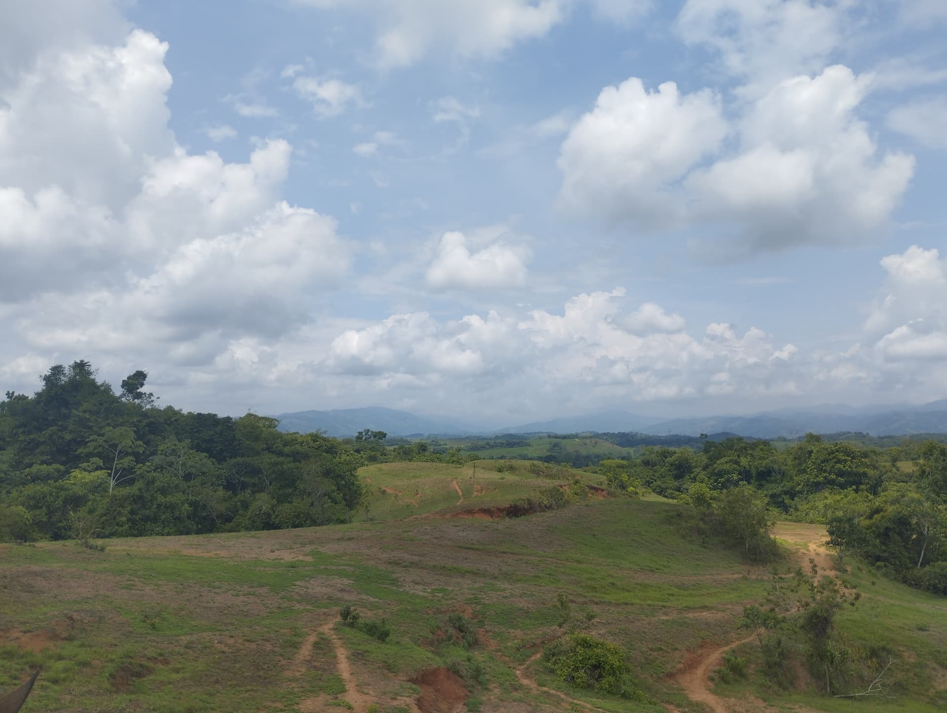 FINCA en Gestion - TARAZÁ, ANTIOQUIA - 9