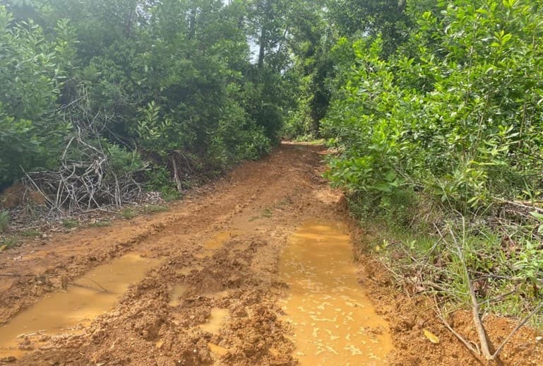 FINCA en Gestion - CÁCERES, ANTIOQUIA - 2