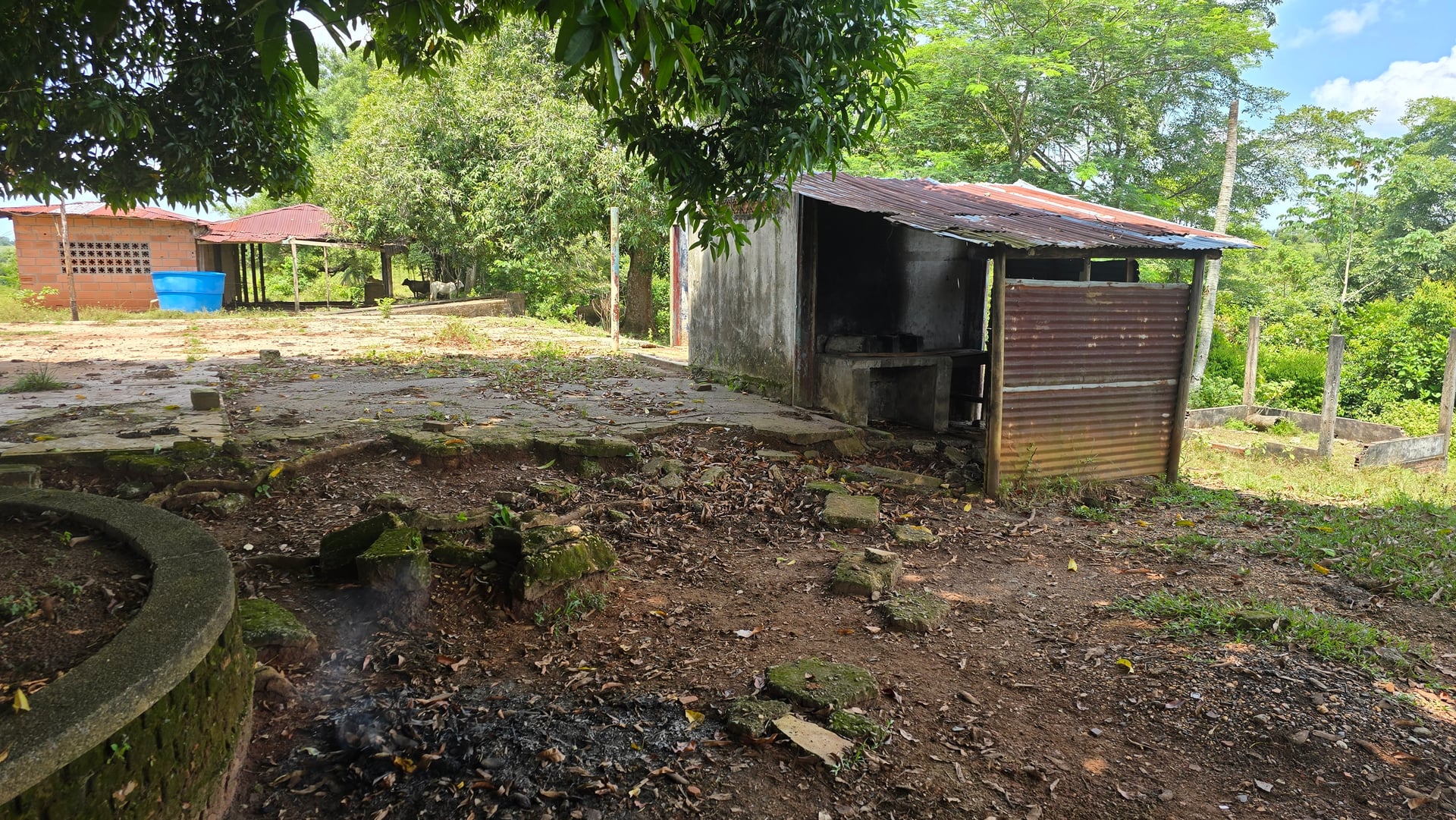 FINCA en Gestion - CAUCASIA, ANTIOQUIA - 48