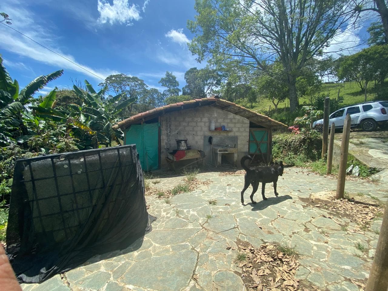 FINCA en Gestion - COPACABANA, ANTIOQUIA - 7