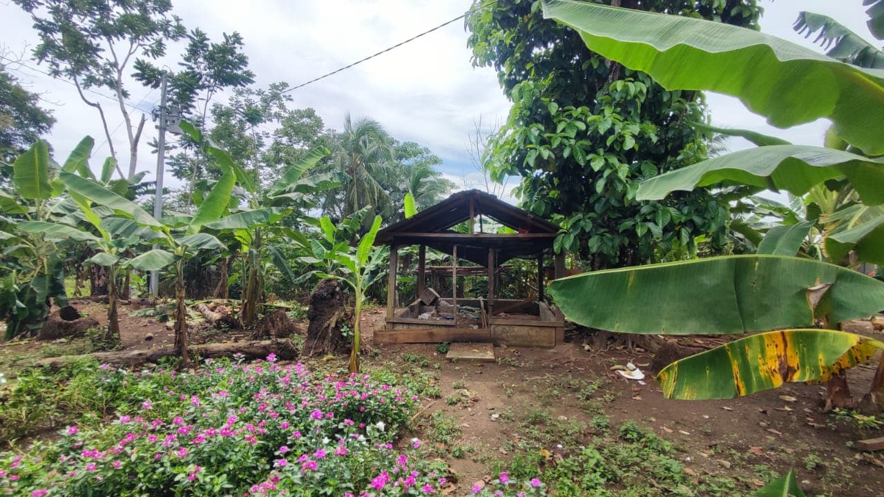 FINCA en Gestion - TARAZÁ, ANTIOQUIA - 9
