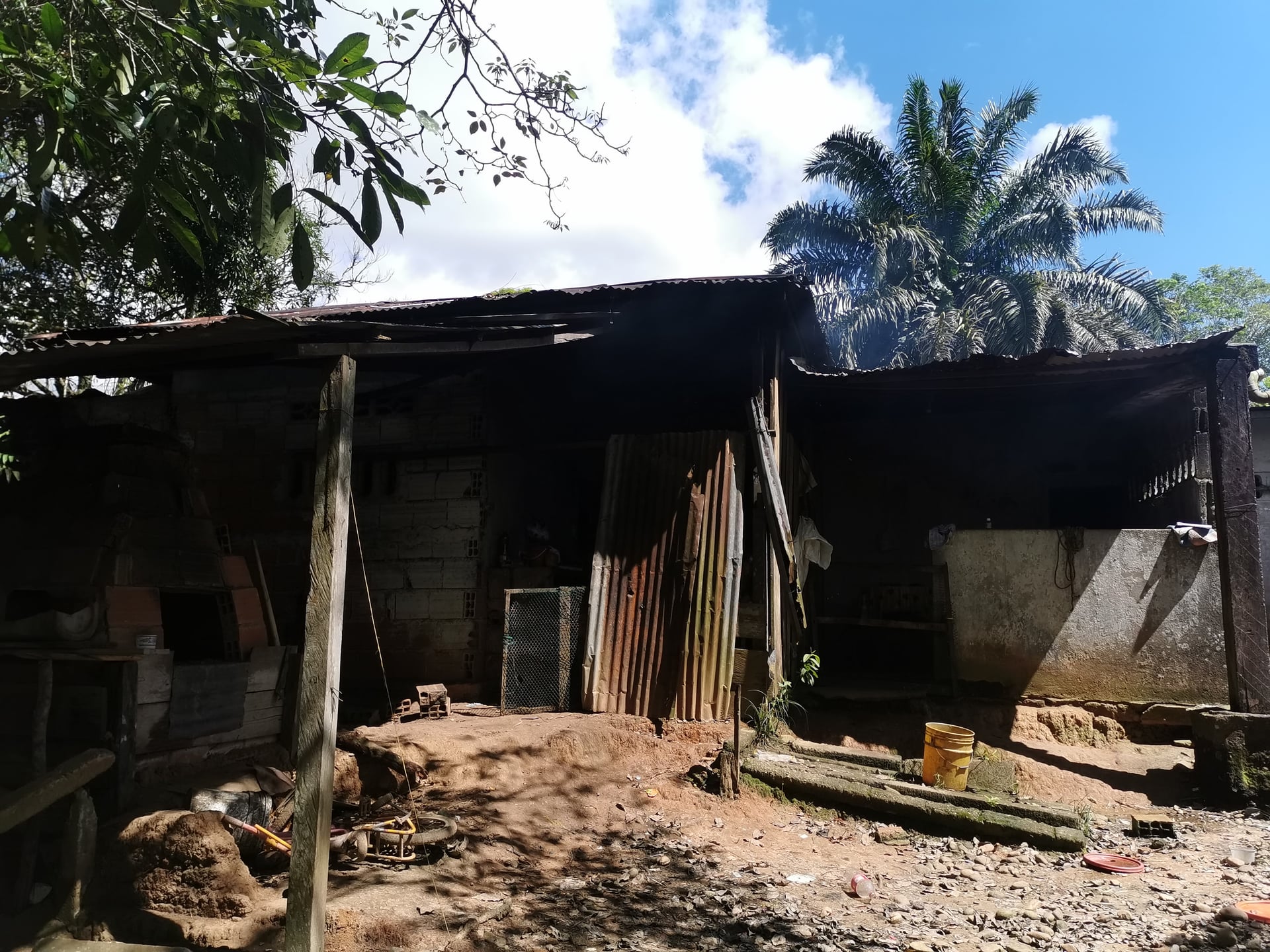 FINCA en Gestion - MORELIA, CAQUETA - 5